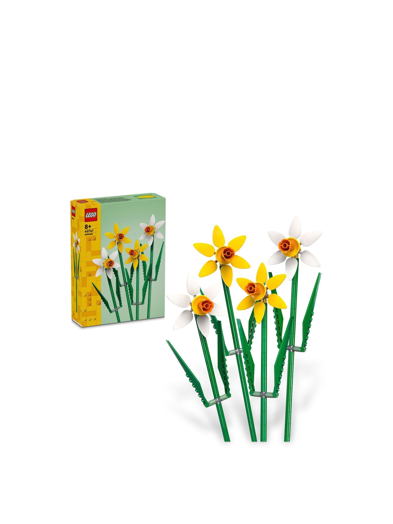 Daffodils 40747