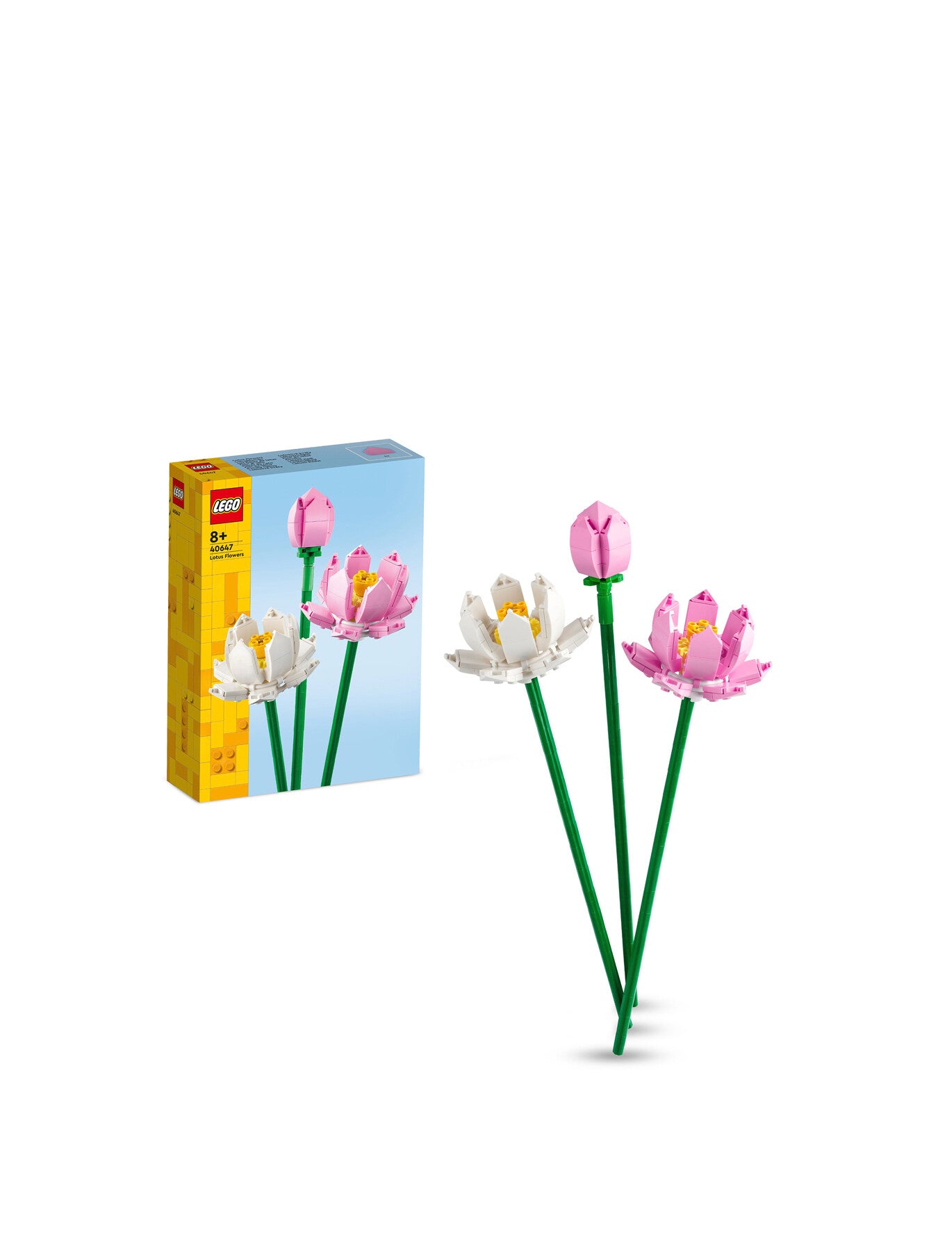 Lotus Flowers 40647