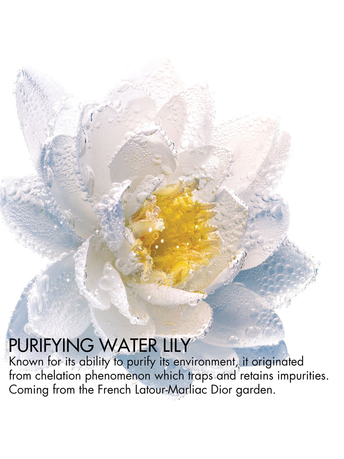 Purifying Nymphéa Bi-Phase Makeup Remover