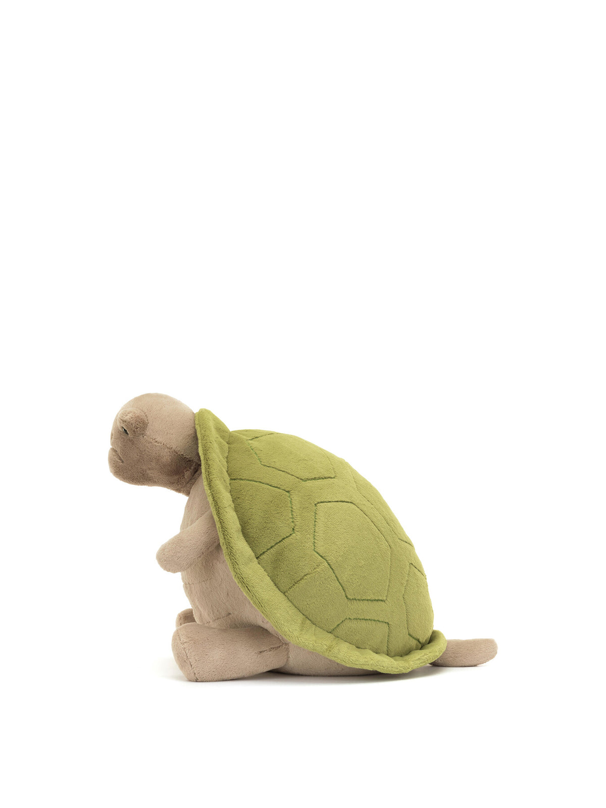 Timmy Turtle Big