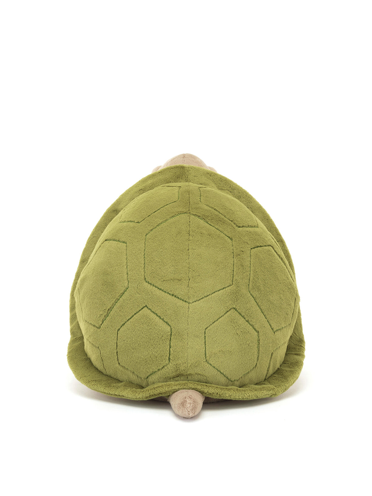 Timmy Turtle Big