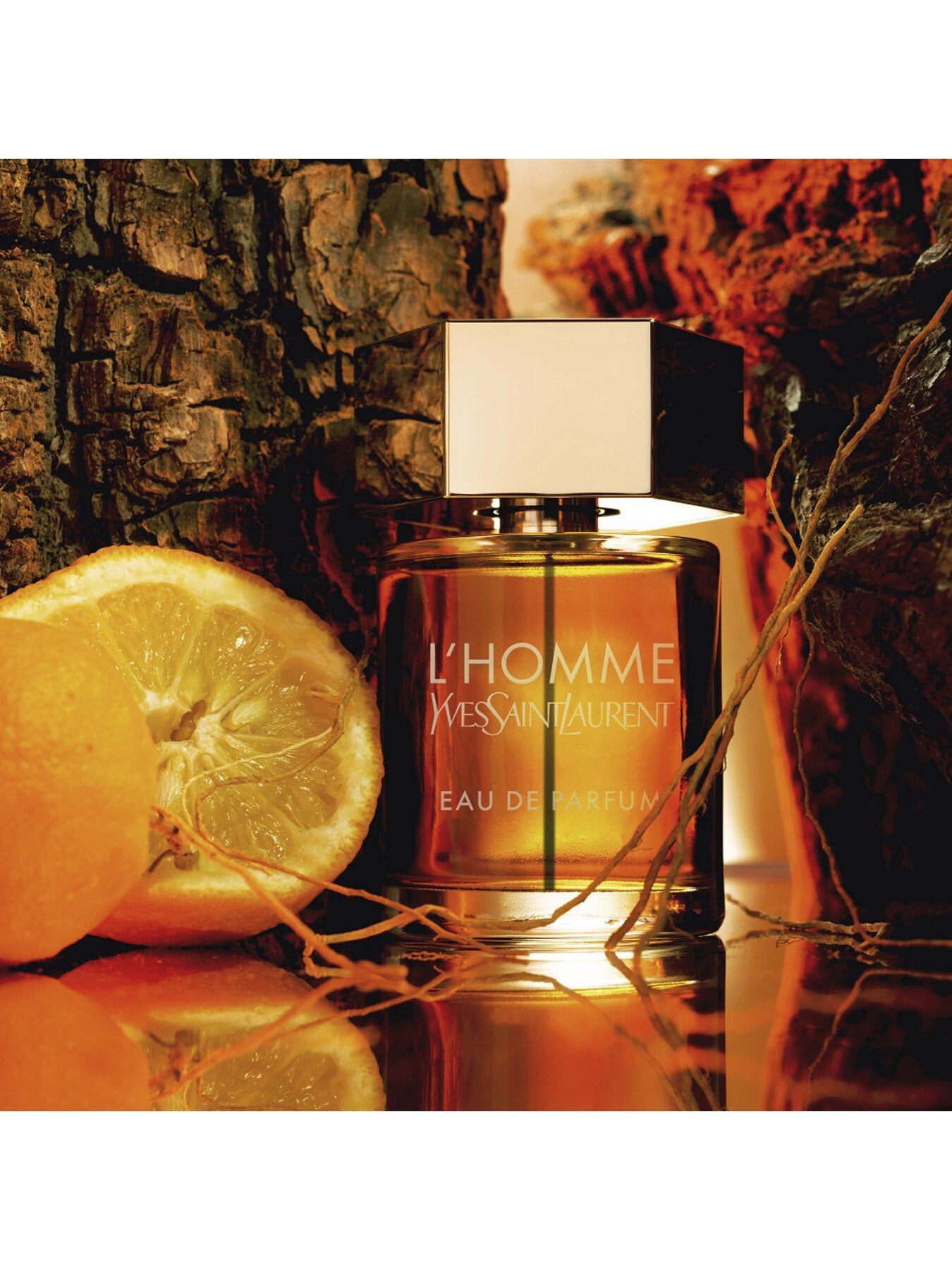 L'Homme Eau de Parfum Intense 60ml