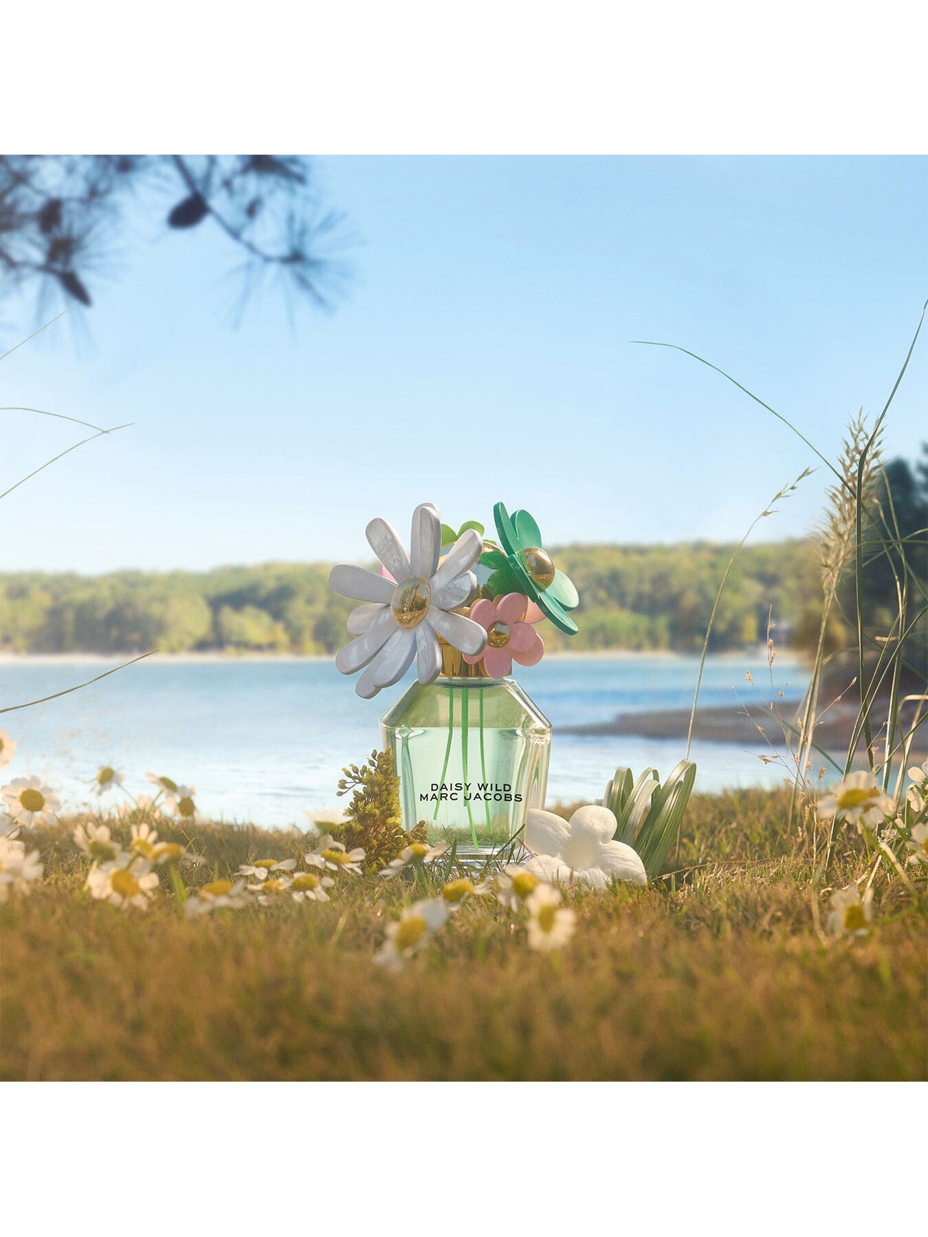 Daisy Wild Eau de Parfum 100ml