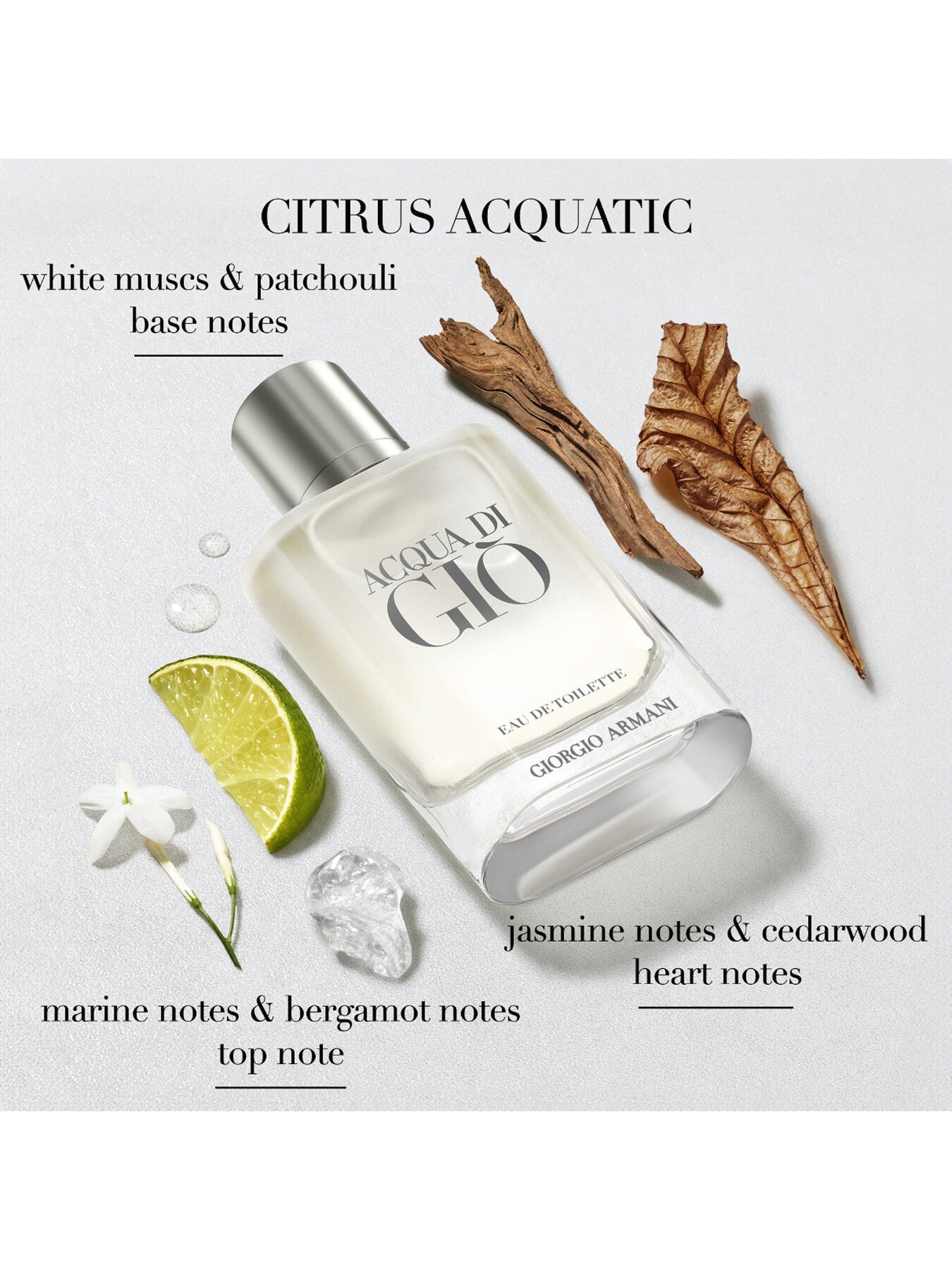 Acqua Di Gio Eau de Toilette 100ml