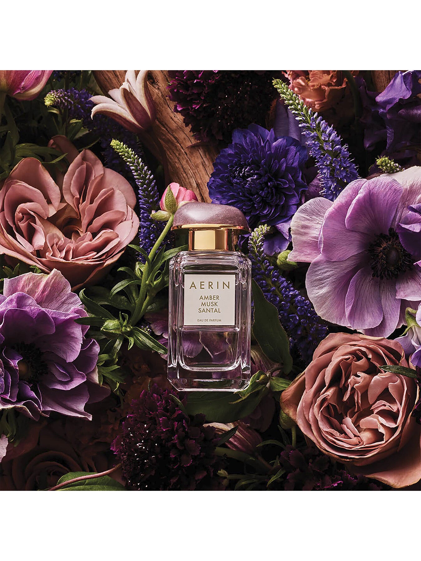 Amber Musk Santal Eau de Parfum 50ml