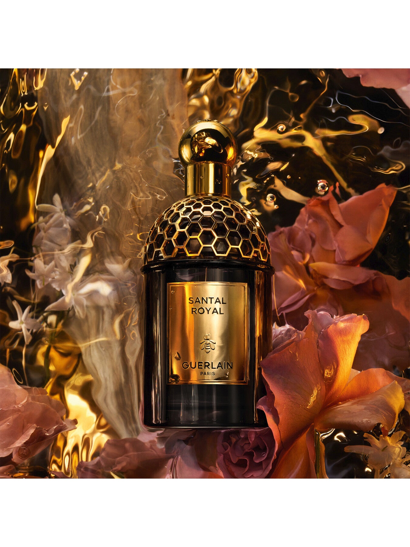Absolus Allegoria Santal Royal Eau de Parfum