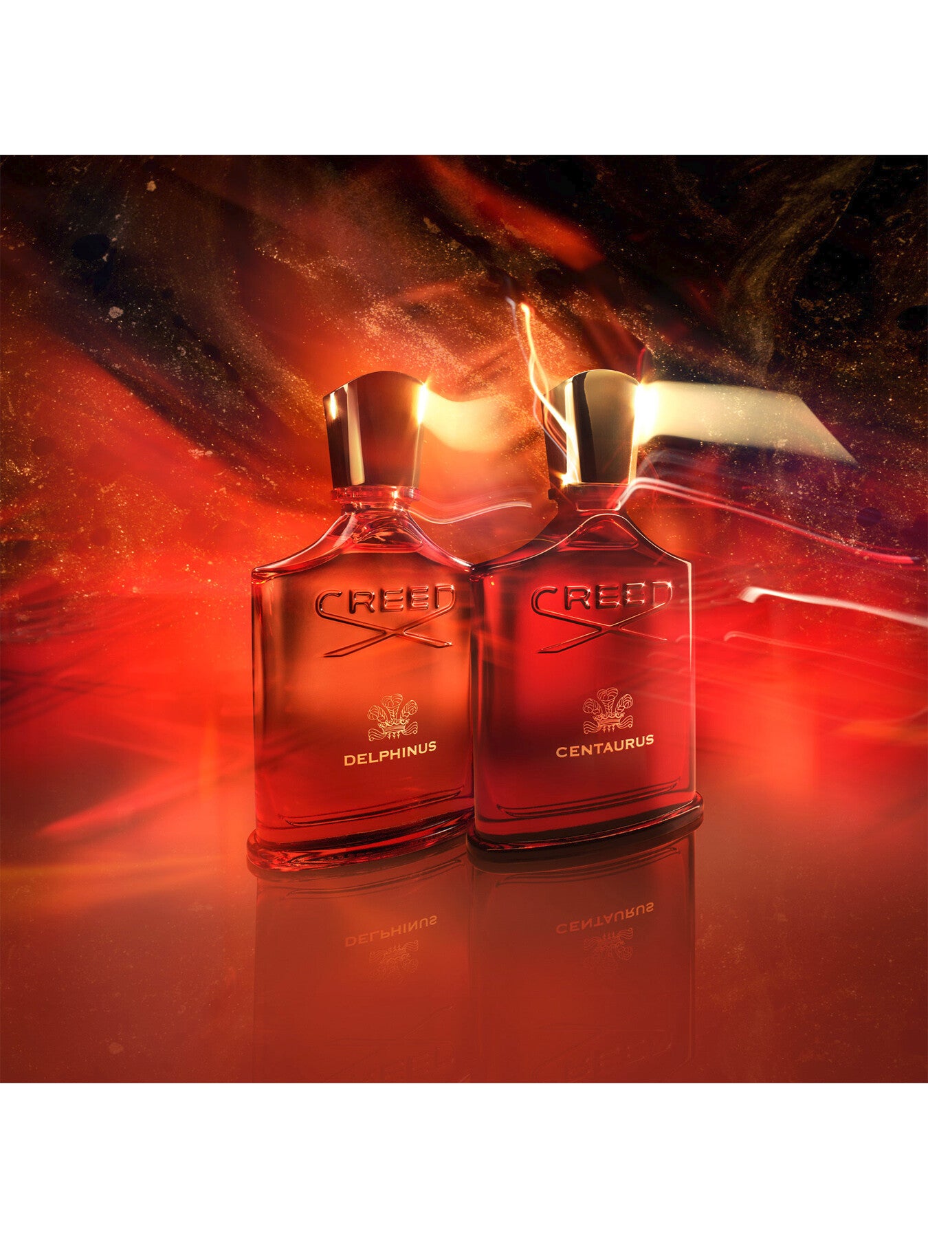 Delphinus Eau de Parfum 100ml