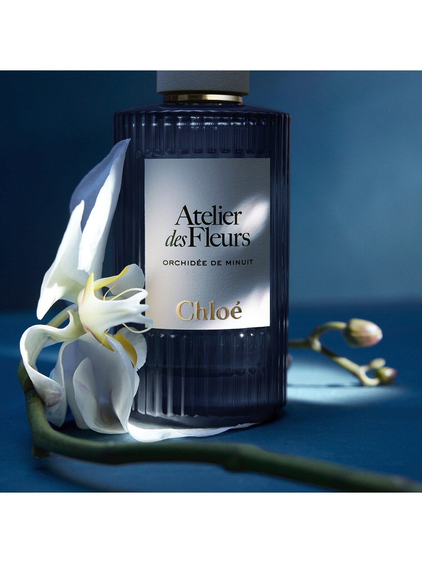 Atelier des Fleurs Orchidée de Minuit Eau de Parfum 50ml