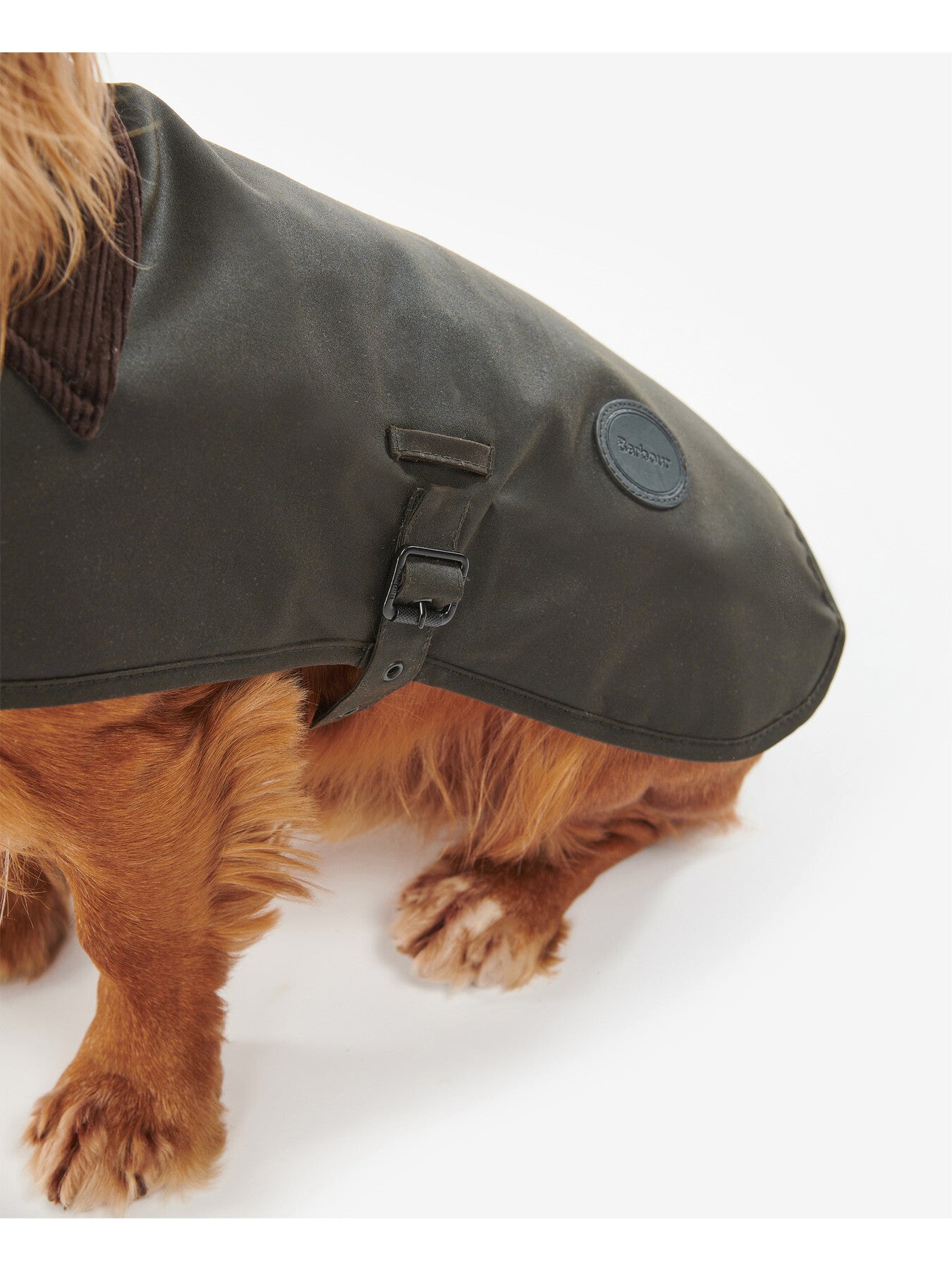 Wax Dog Coat Olive Small