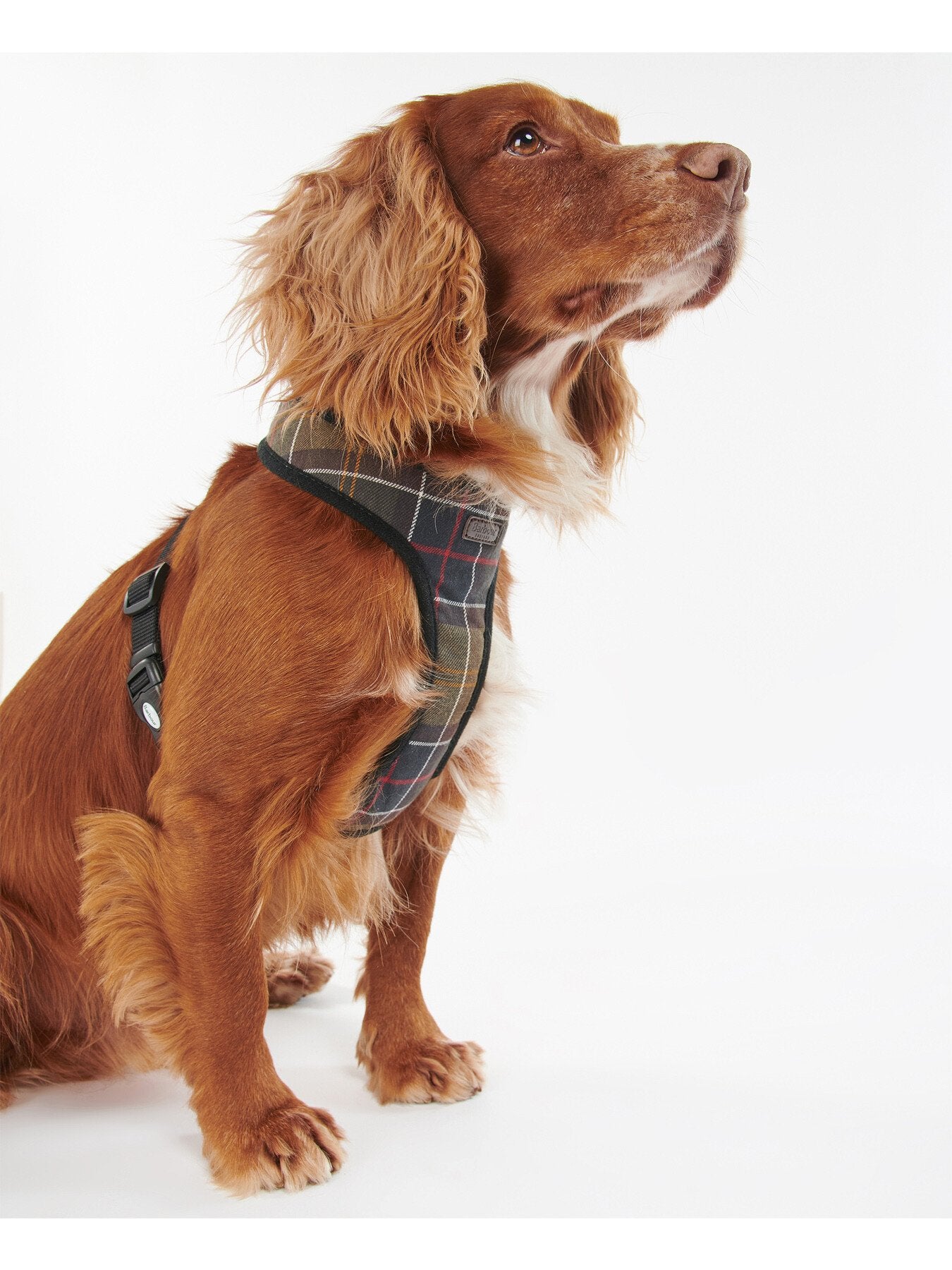 Dog Harness Tartan Medium