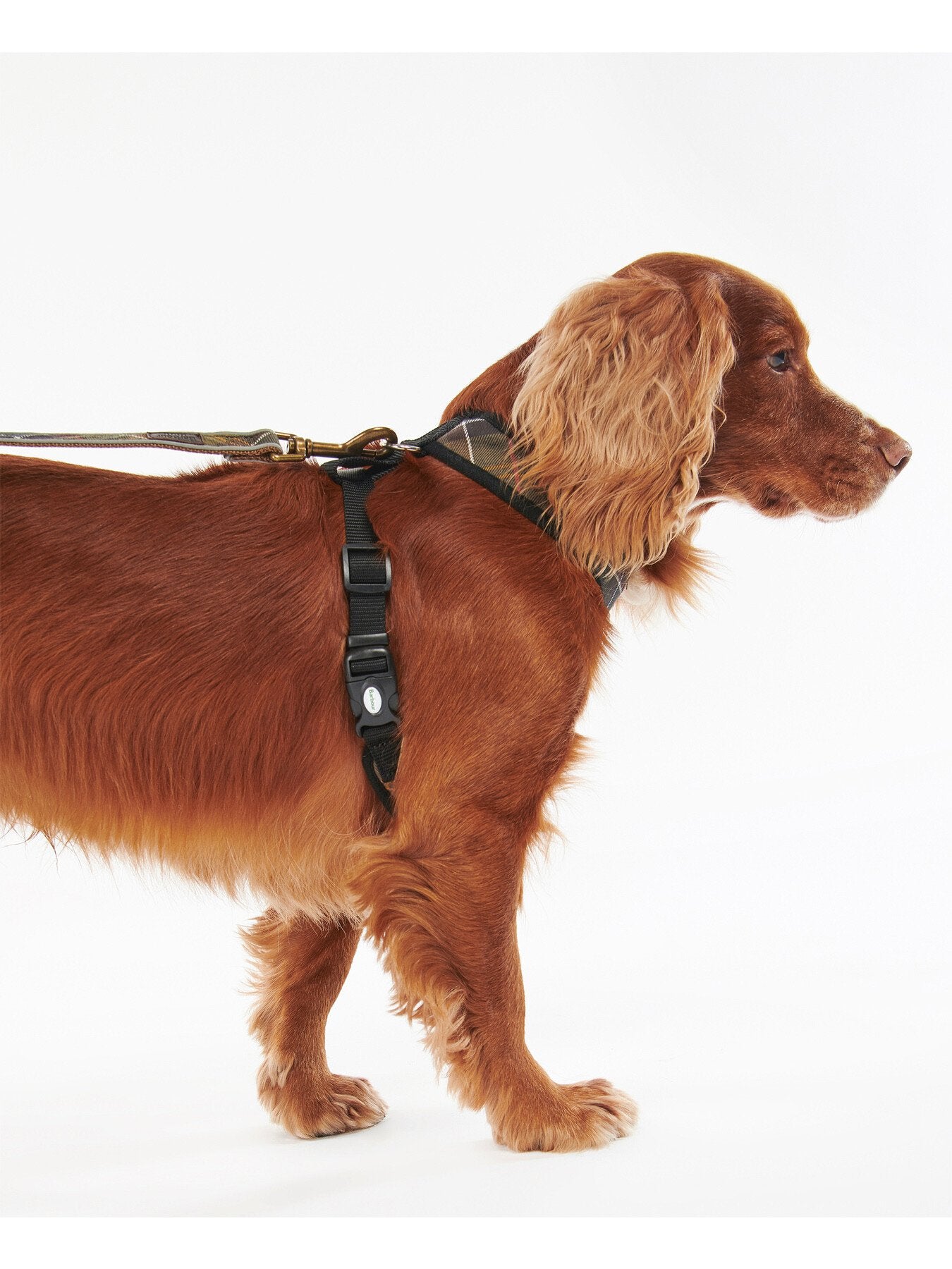 Dog Harness Tartan Medium