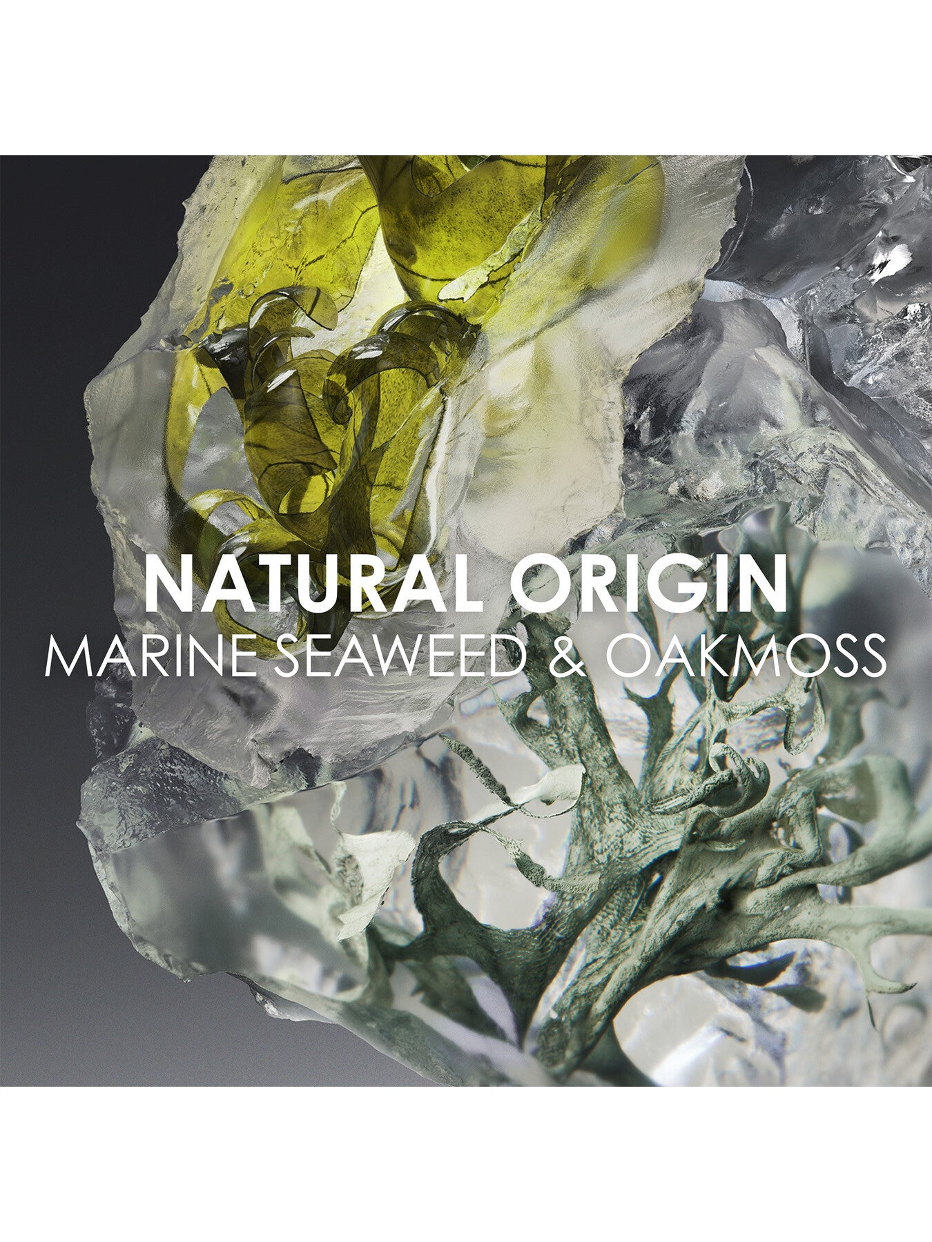 Le Sel d'Issey Eau de toilette 100ml