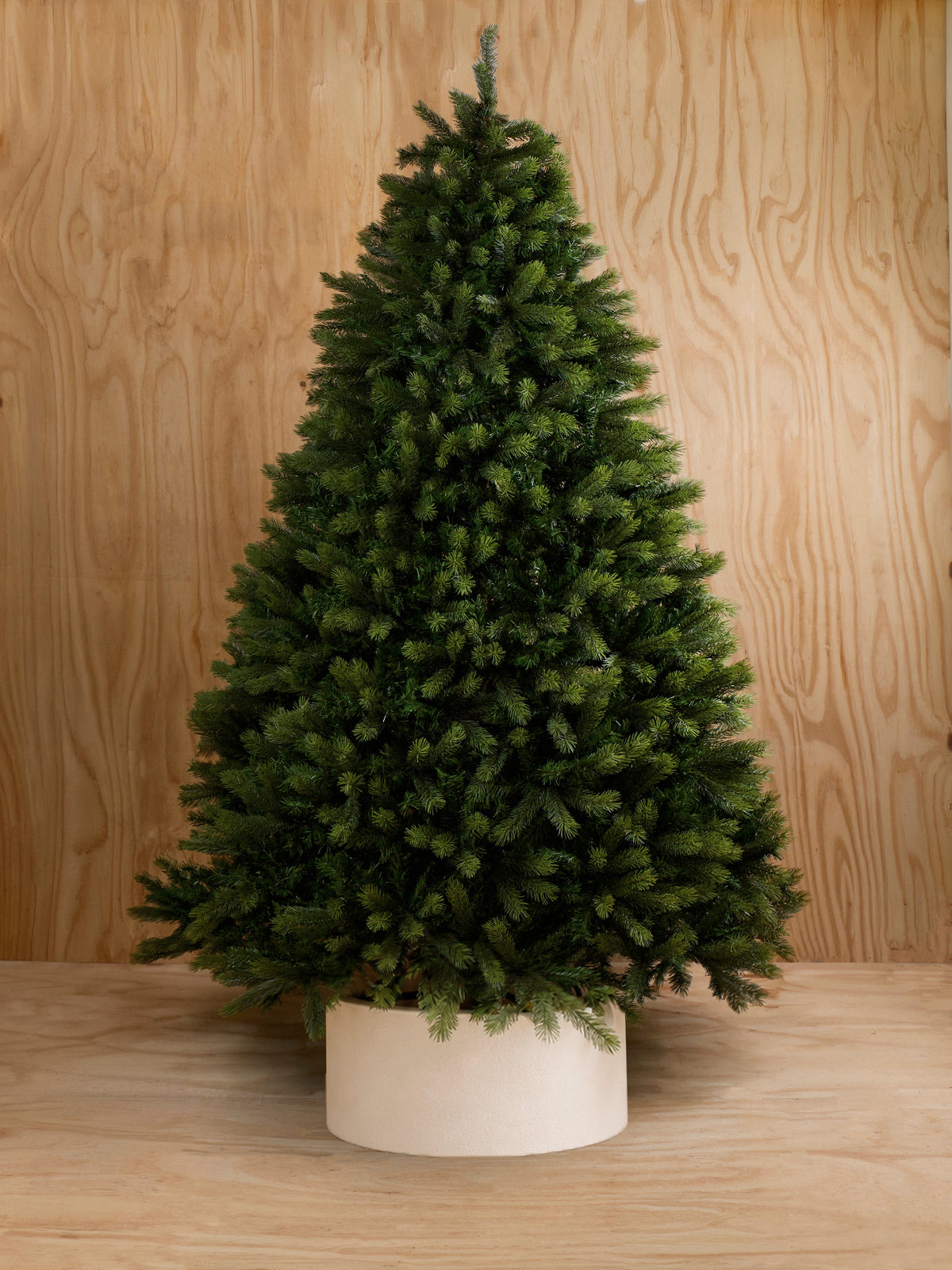 Royal Northumberland Fir Christmas Tree