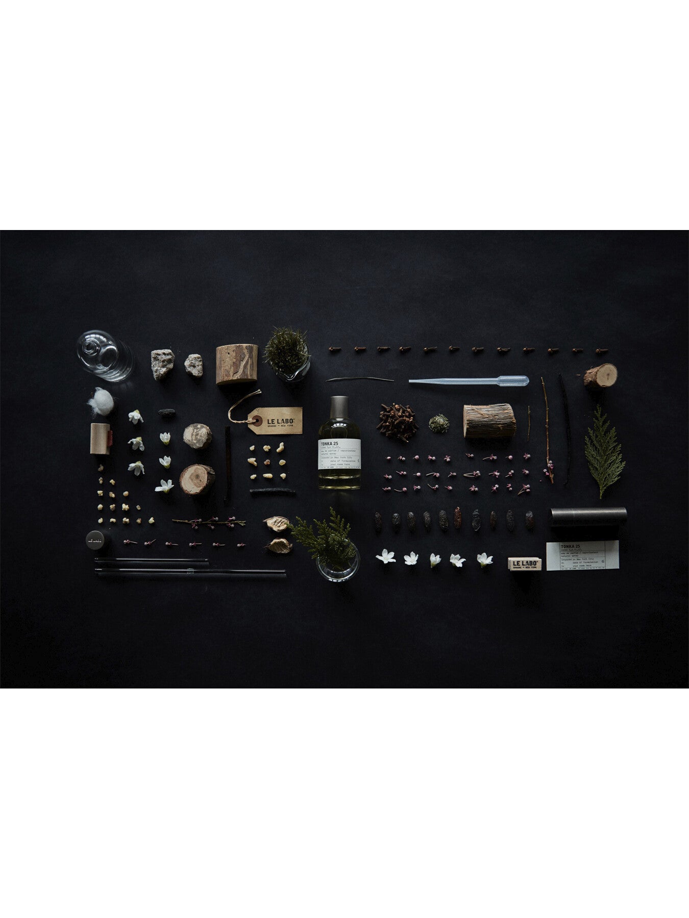 Tonka 25 Eau de Parfum 50ml