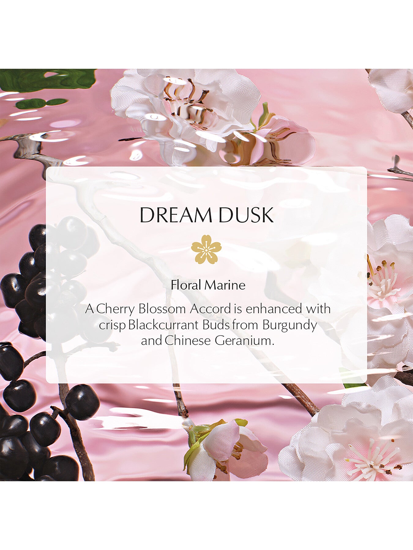 Dream Dusk Eau de Parfum Refill 100ml