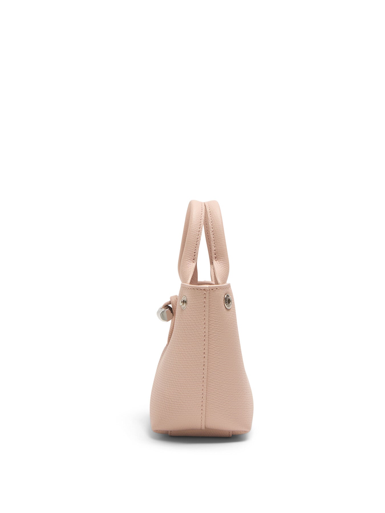 Le Roseau Extra Small Handbag