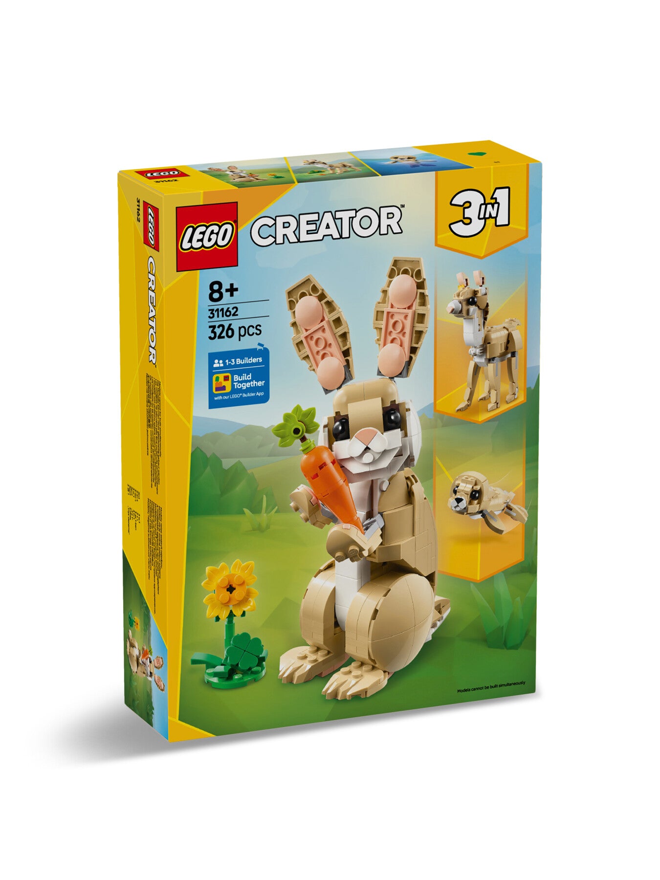Cute Bunny 31162