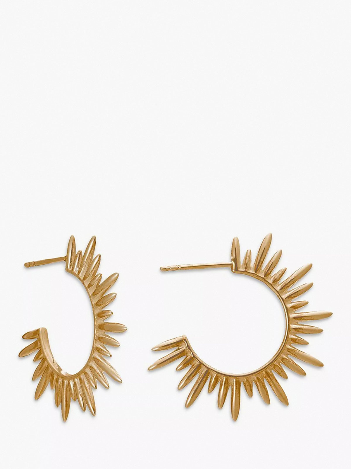 Electric Goddess Medium Hoop Earrings