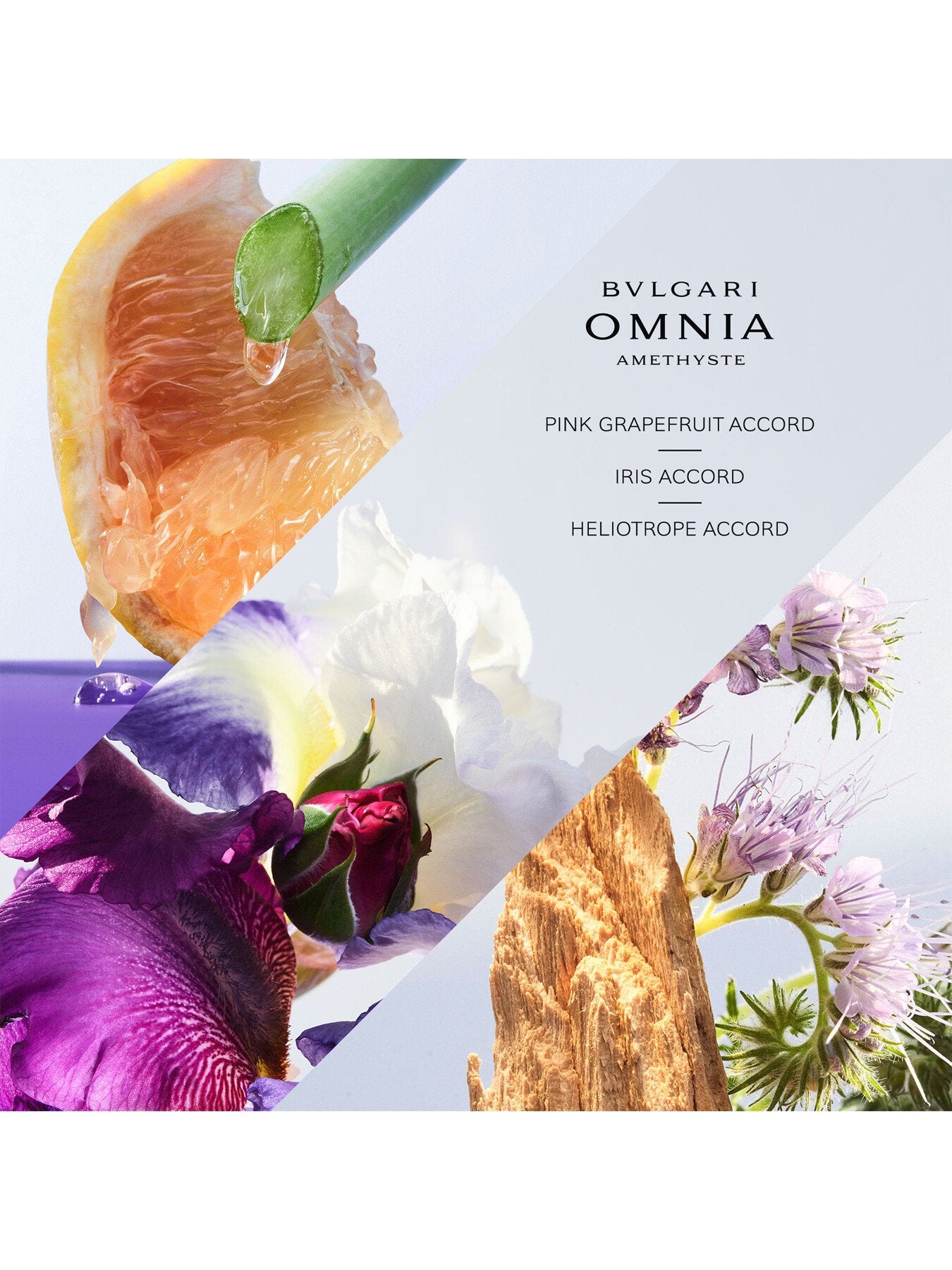 Omnia Amethyste Eau de Toilette 100ml