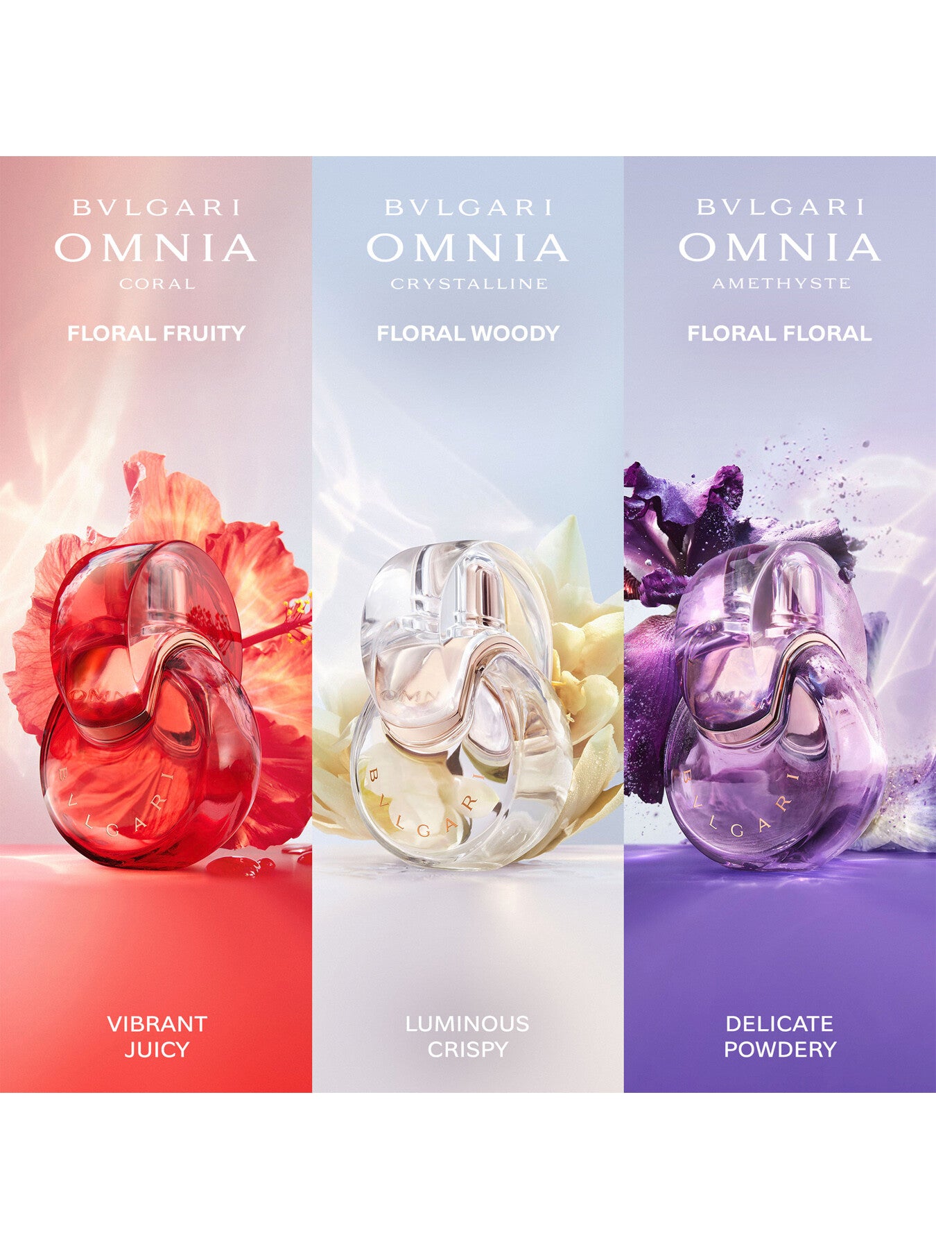 Omnia Amethyste Eau de Toilette 50ml