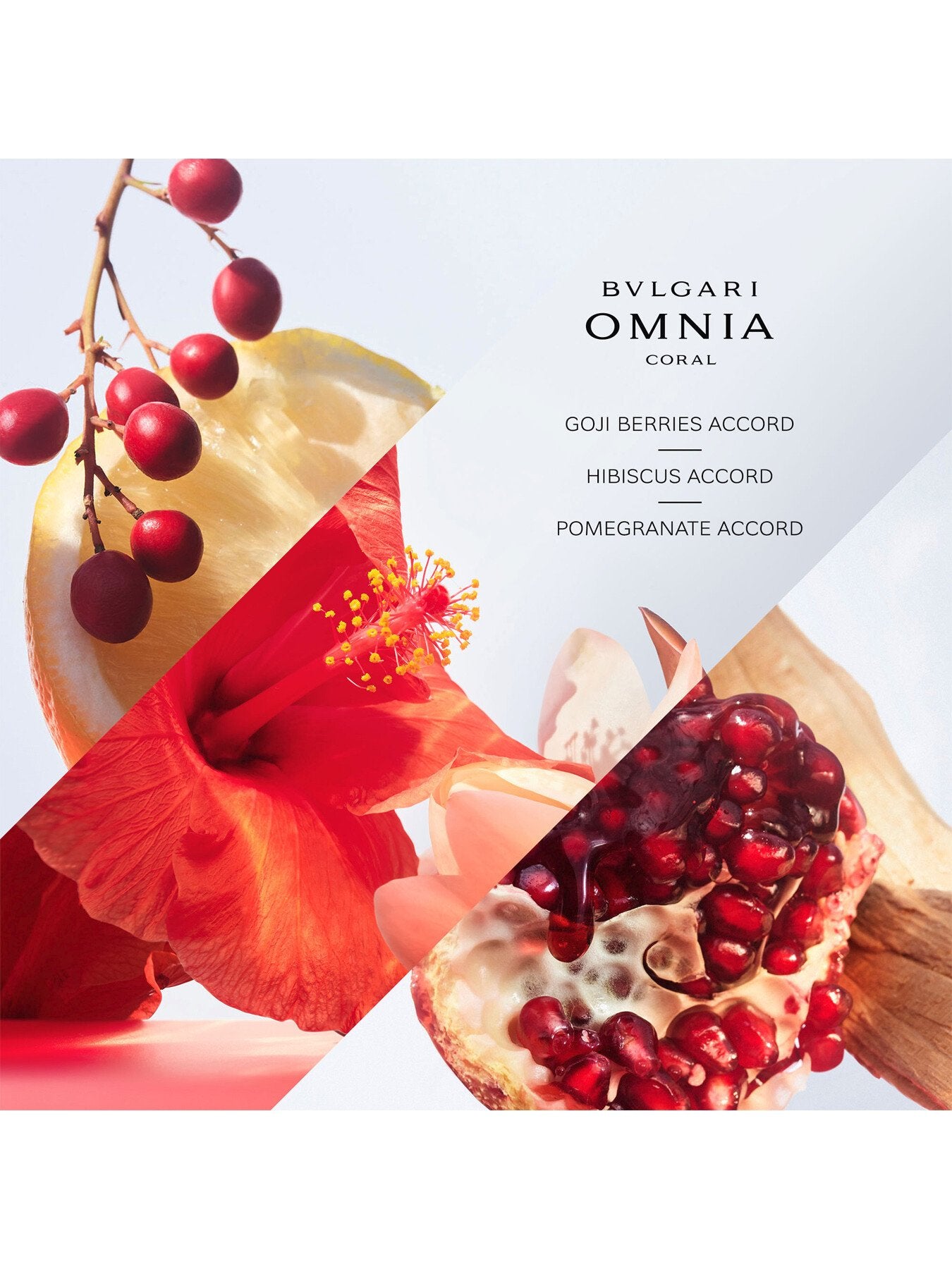 Omnia Coral Eau de Toilette 100ml