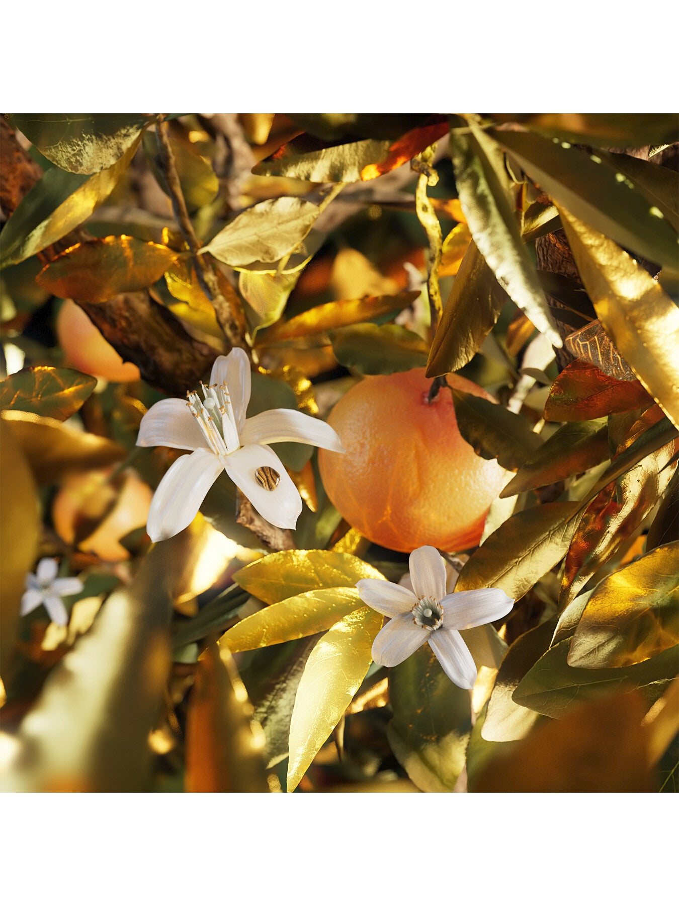 Le Gemme Tygar Eau de Parfum 125ml