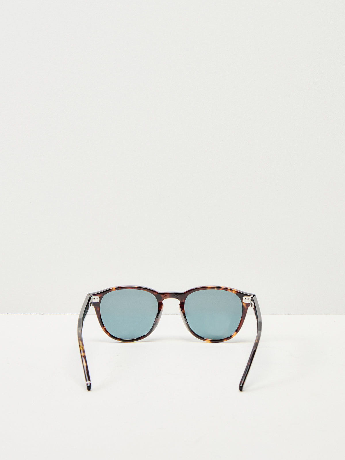 Mens Round Havana Sunglasses