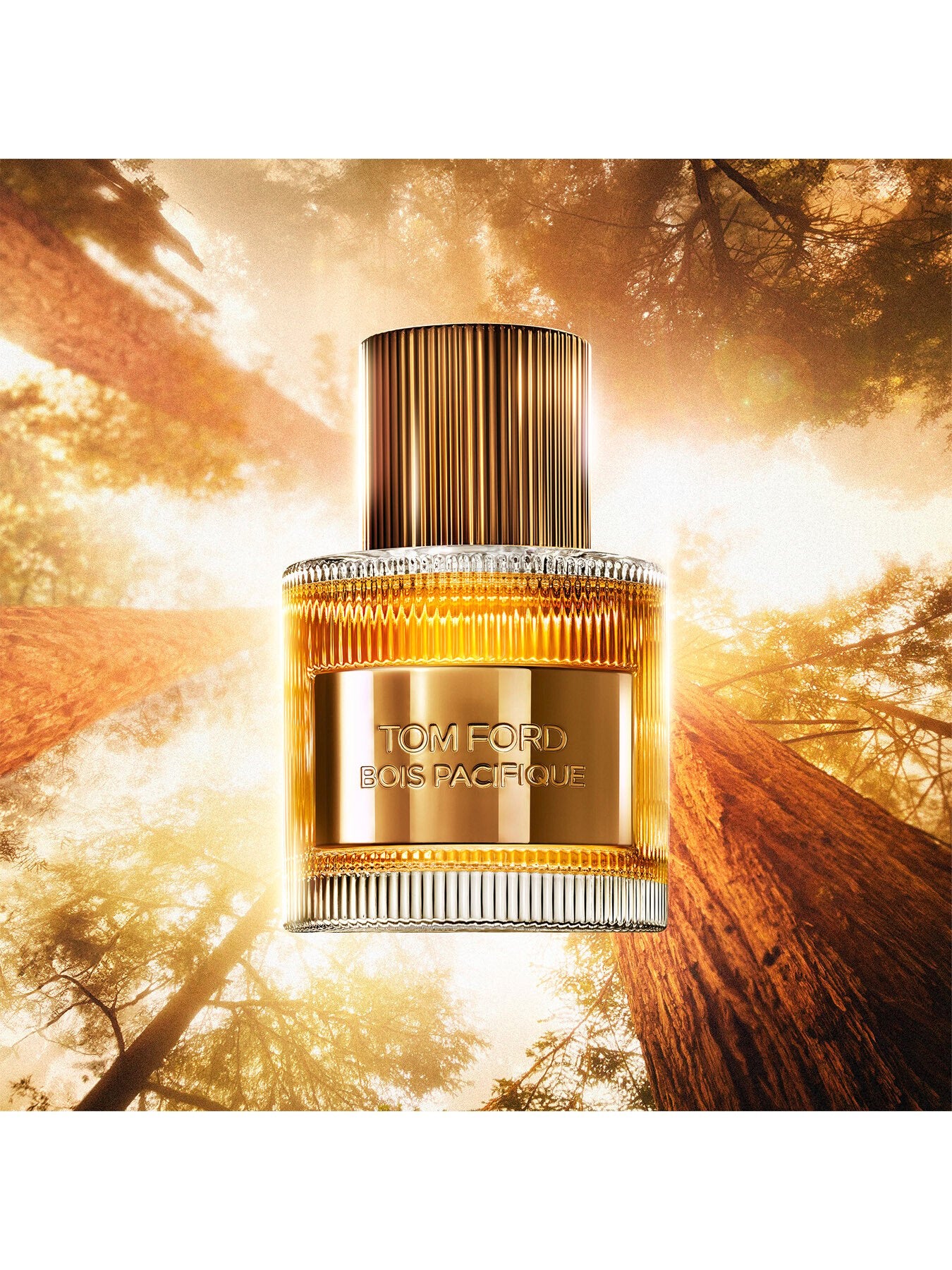 Bois Pacifique Eau de Parfum 50ml