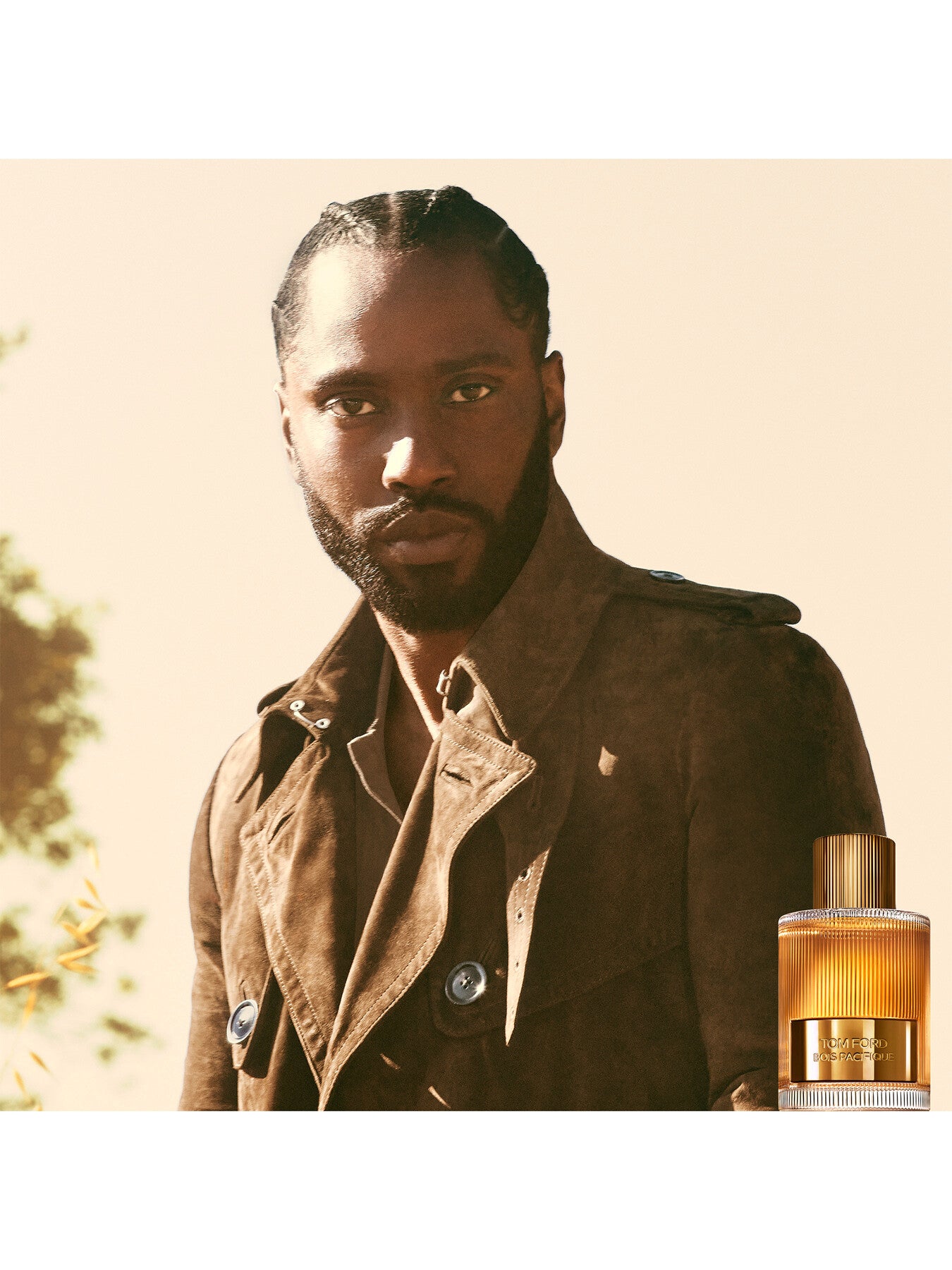 Bois Pacifique Eau de Parfum 100ml