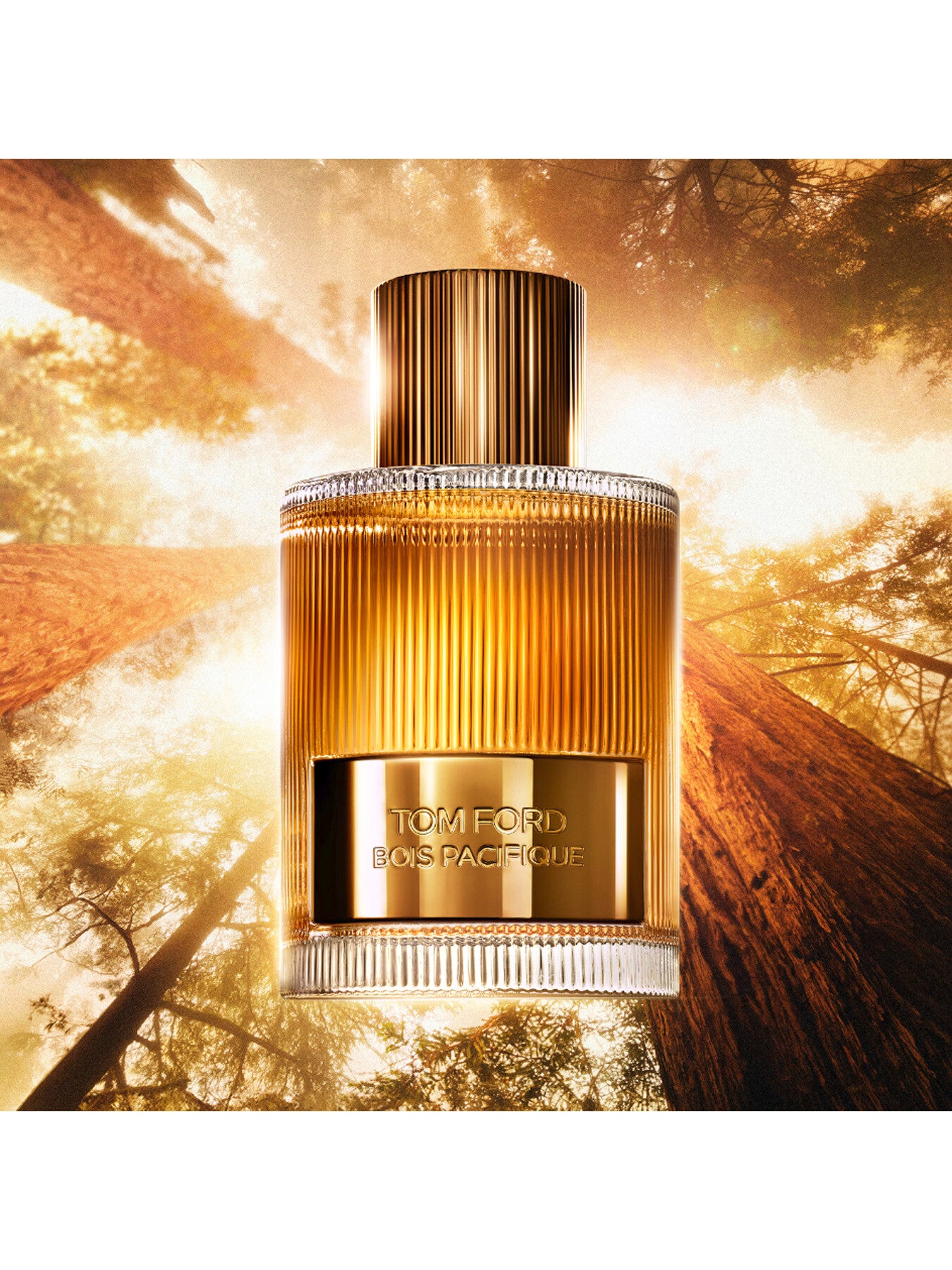 Bois Pacifique Eau de Parfum 100ml