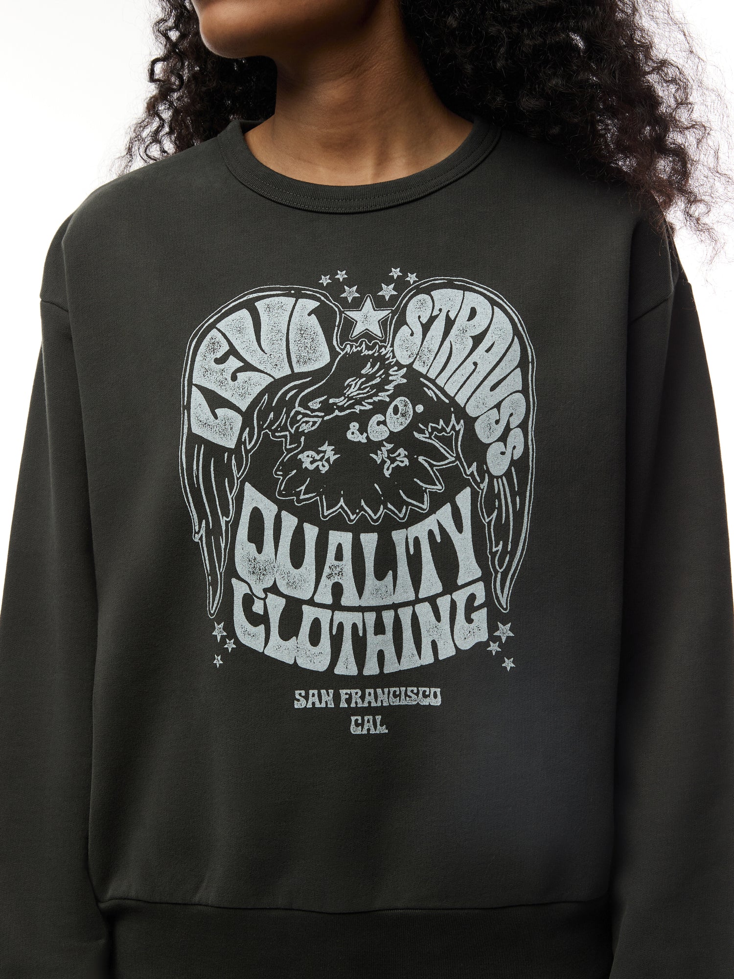 Graphic Heritage Crewneck Sweatshirt
