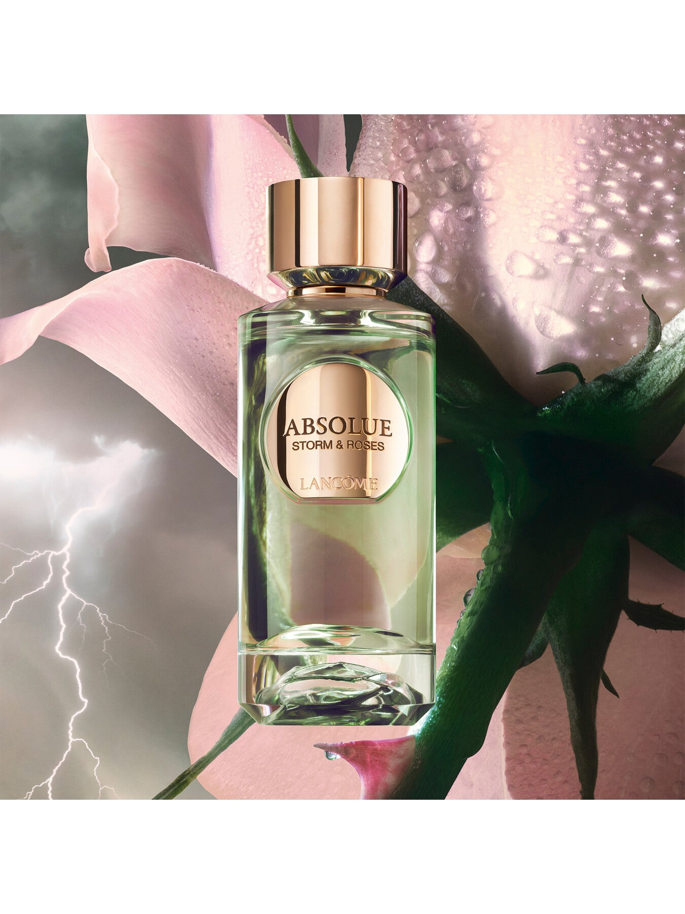 Absolue Les Parfums Storm and Roses Eau de Parfum 50ml