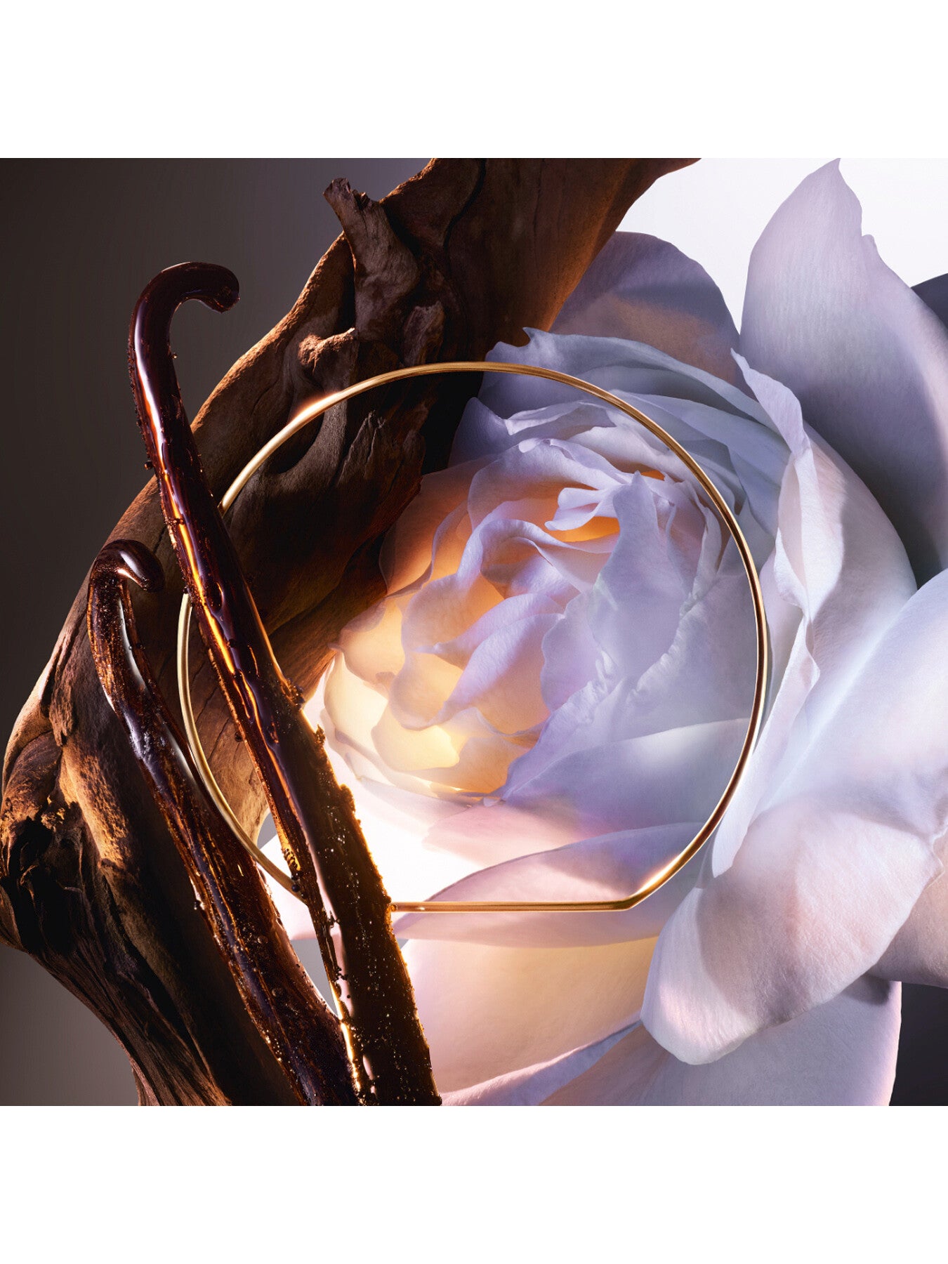 Absolue Les Parfums Rose On The Moon Eau de Parfum 50ml