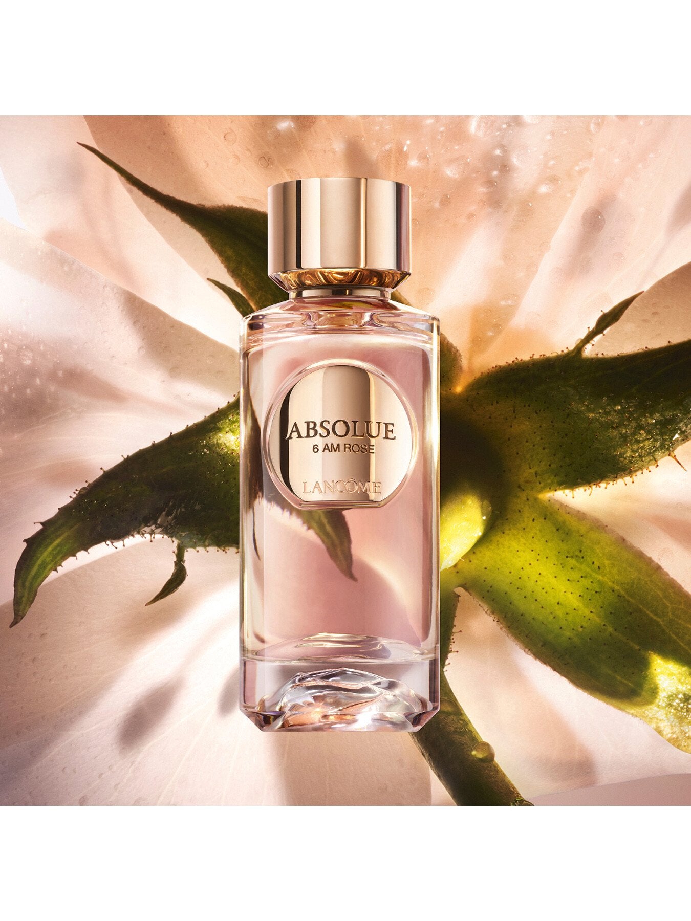 Absolue Les Parfums 6am Rose Eau de Parfum 50ml