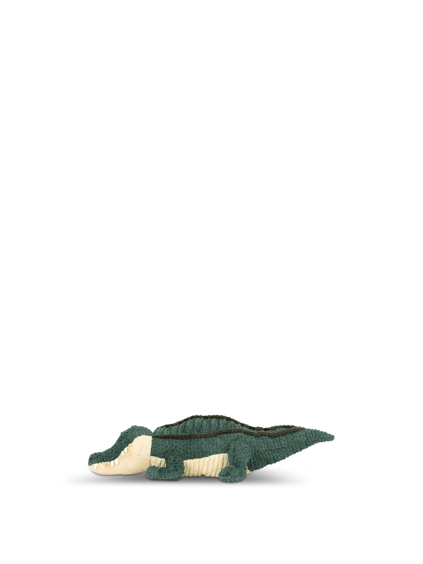 Allexi Alligator