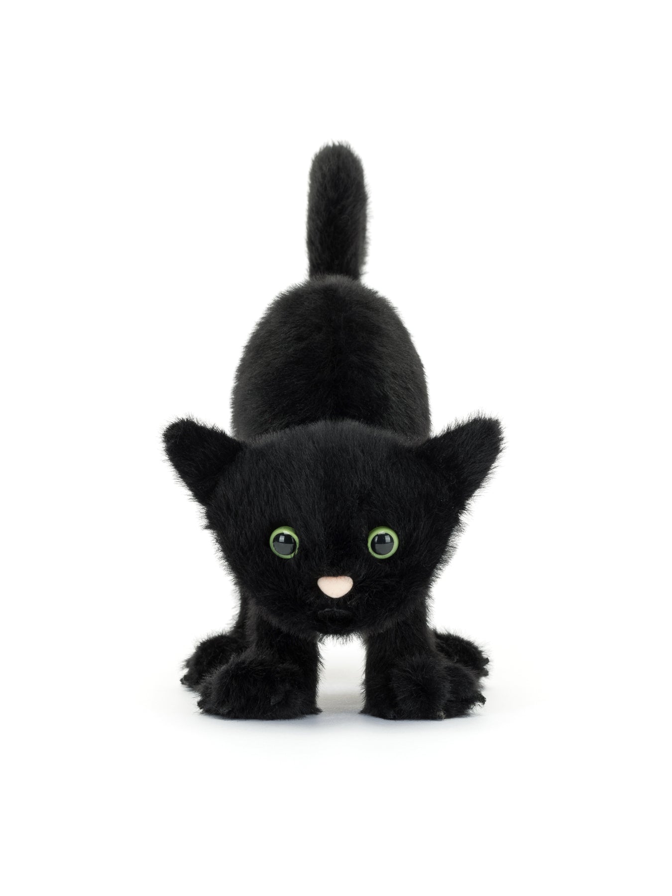 Spookipaws Cat
