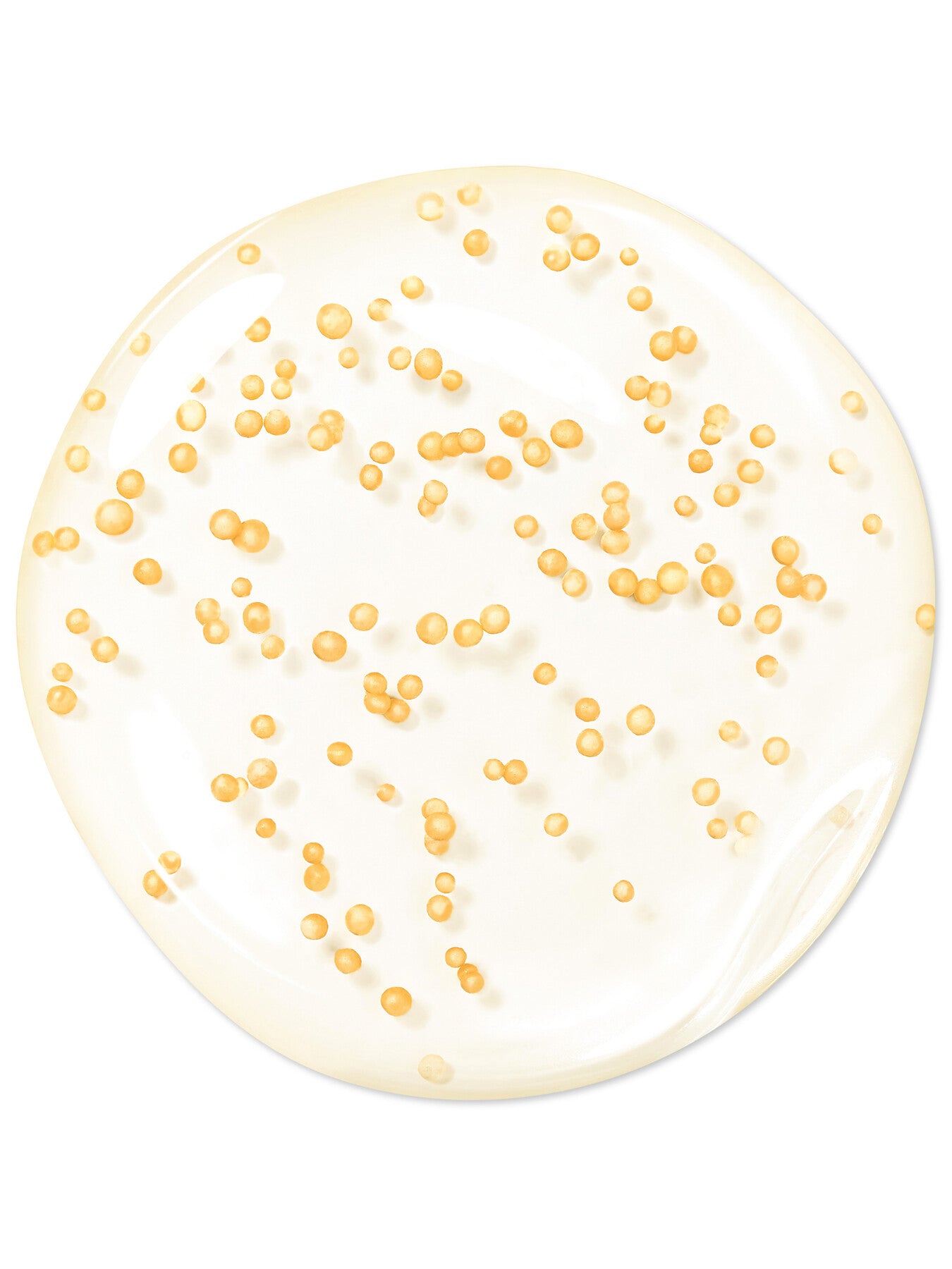 Abeille Royale Youth Watery Oil Serum 50ml