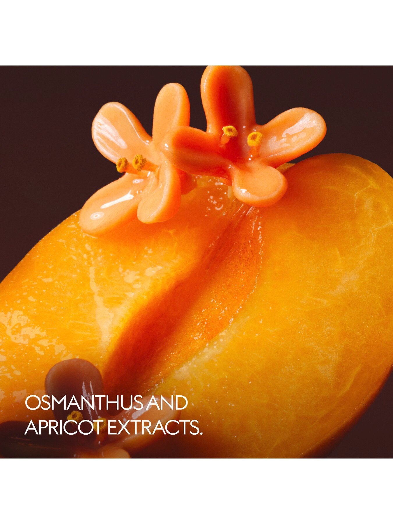 The Alchemist's Garden Osmanthus Nectar Eau de Parfum 50ml