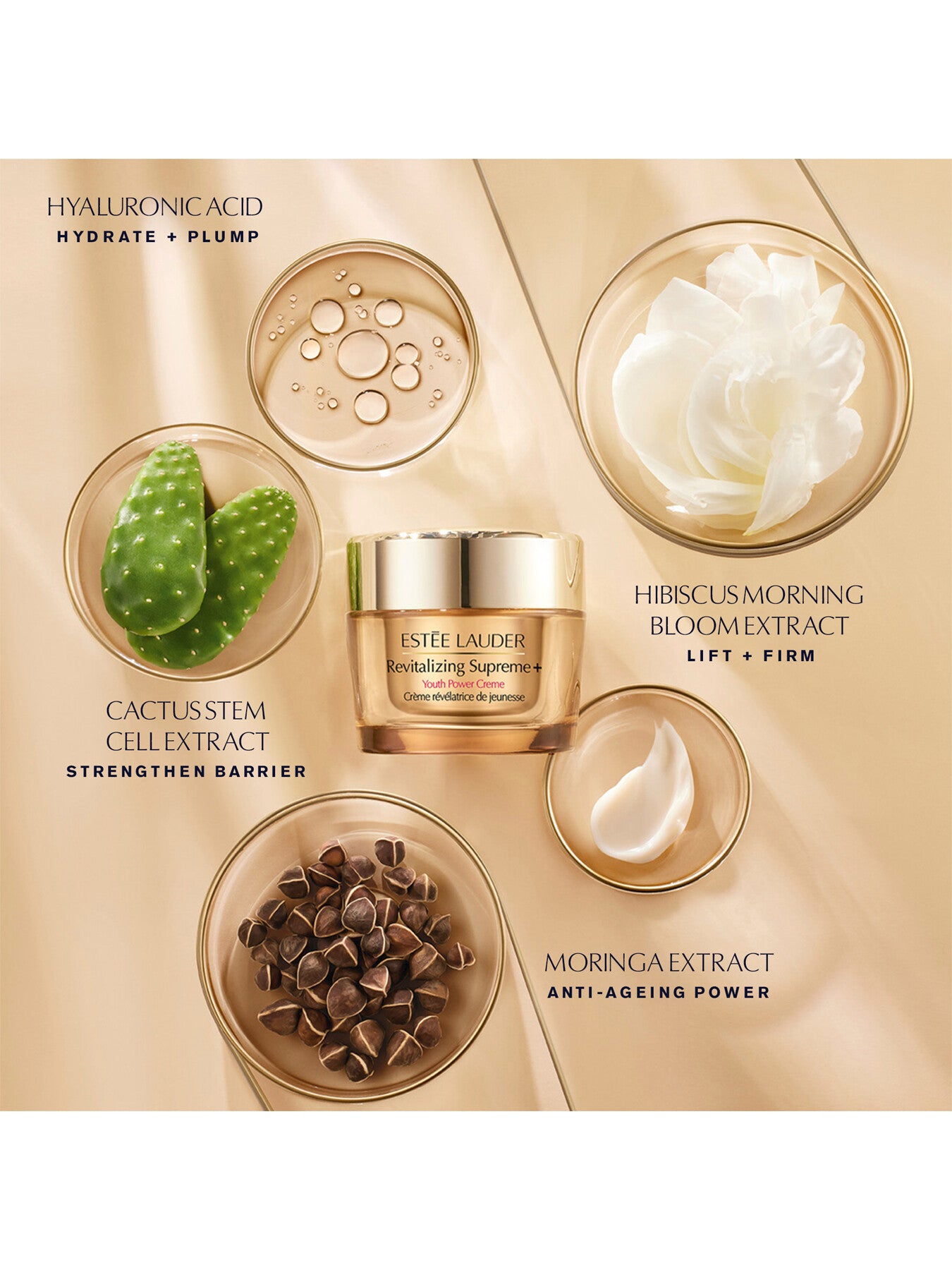 Limited Edition Laduree Revitalizing Supreme Skincare Set