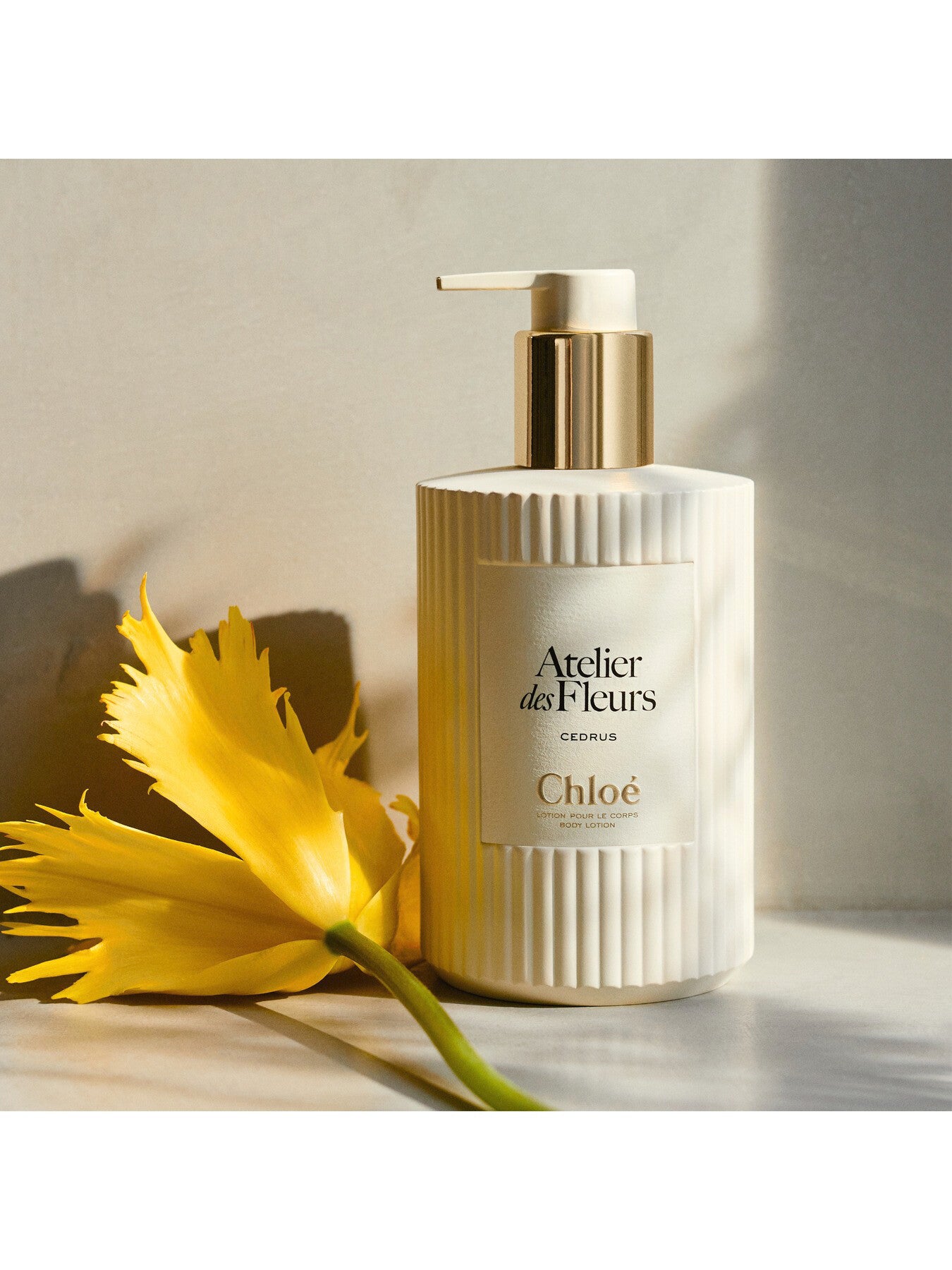 Chloé Atelier des Fleurs Cedrus Perfumed Body Lotion, 300ml