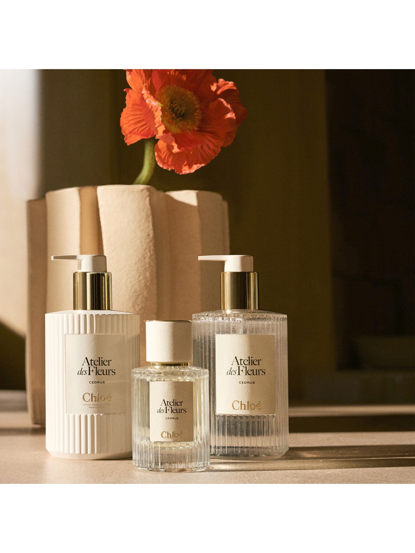 Chloé Atelier des Fleurs Cedrus Perfumed Body Lotion, 300ml