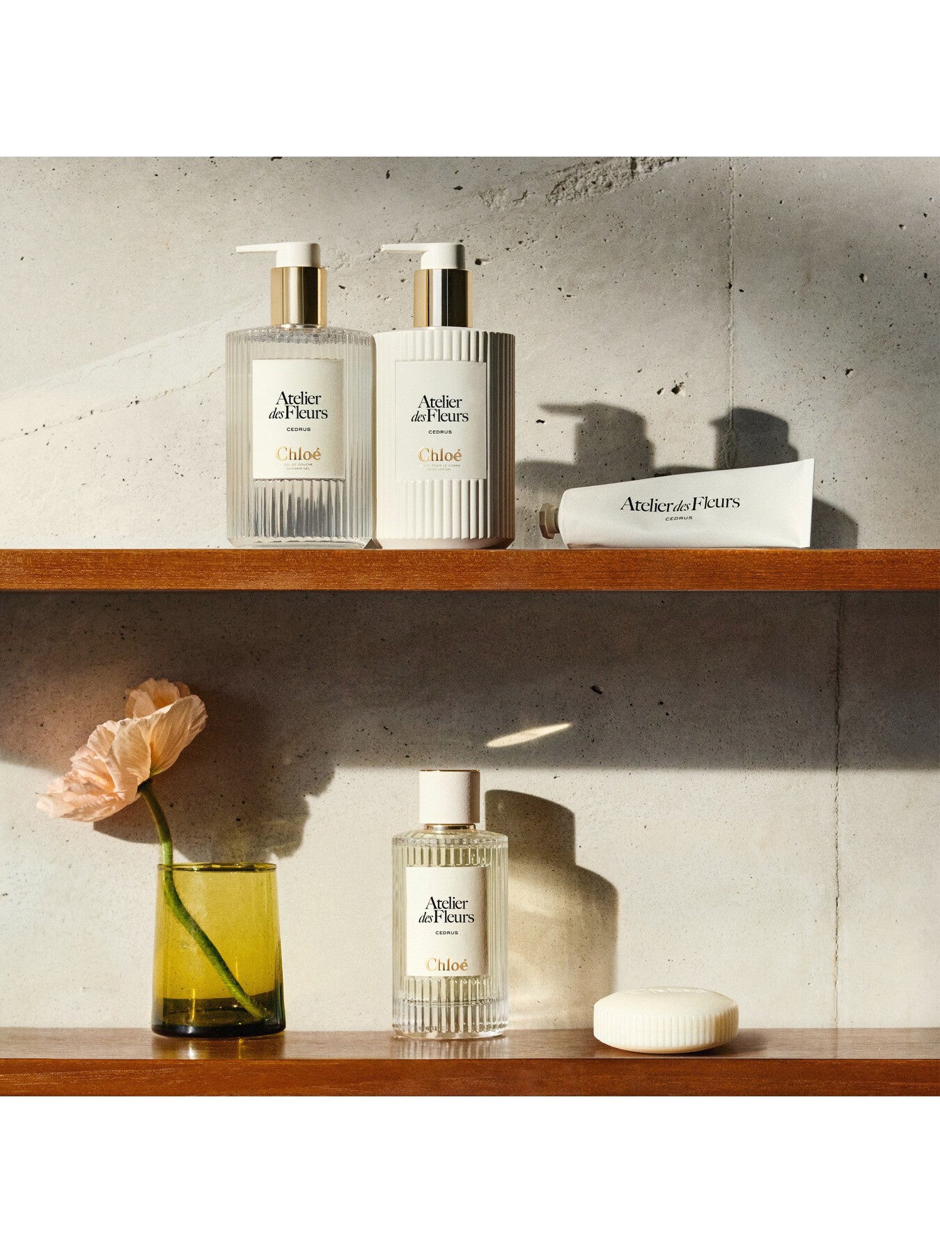 Chloé Atelier des Fleurs Cedrus Perfumed Soap 100g
