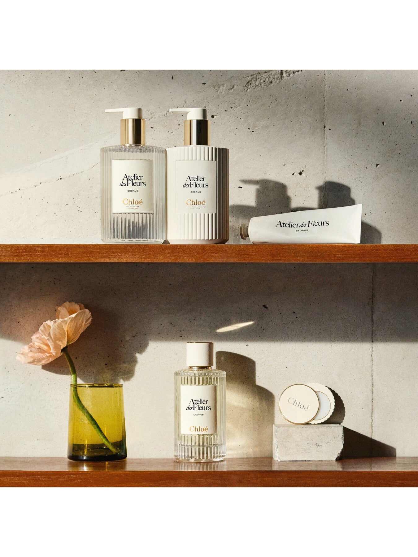 Chloé Atelier des Fleurs Cedrus Hand Cream 50ml