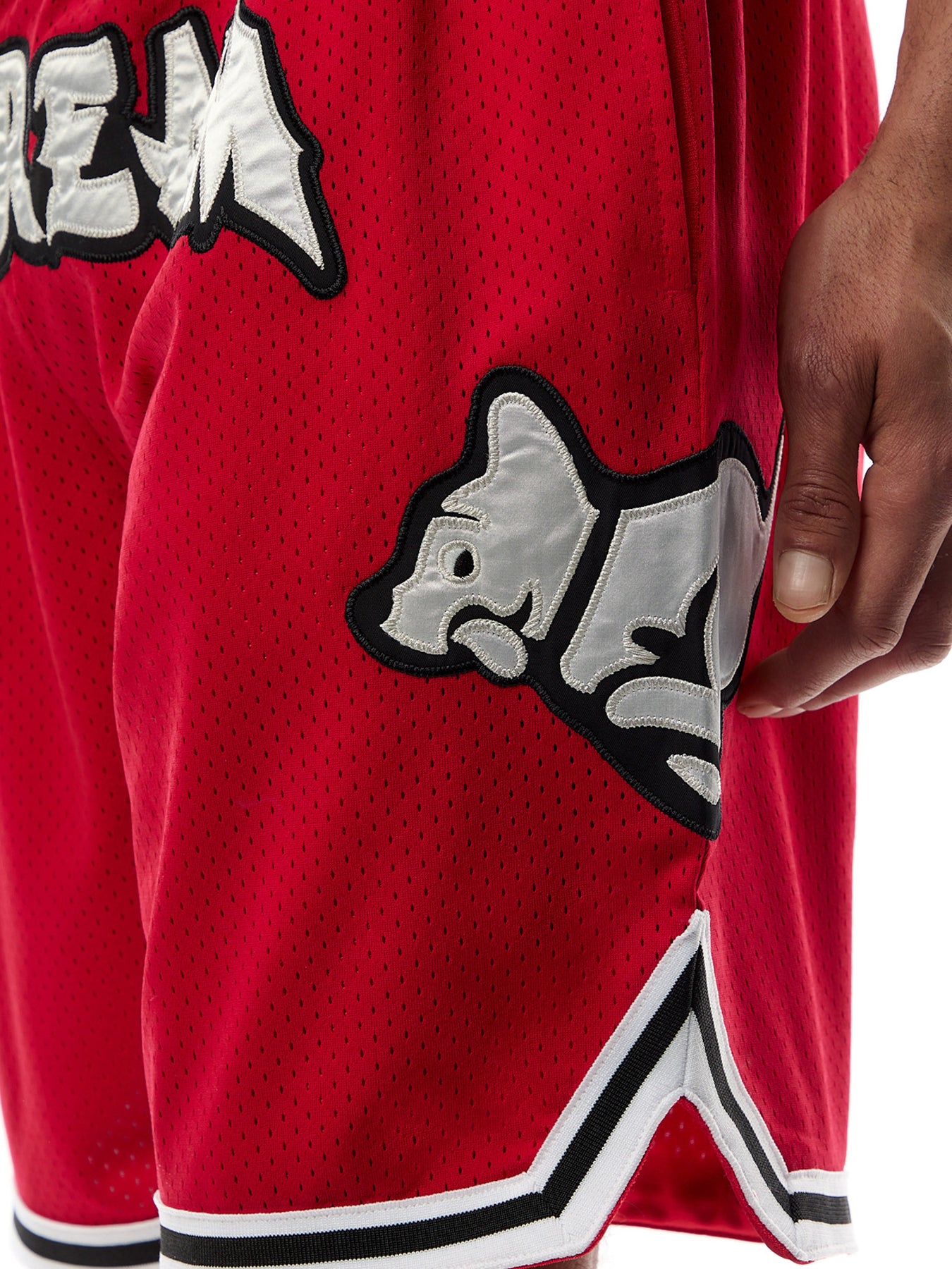 Running Puppy Applique Basketball Shorts