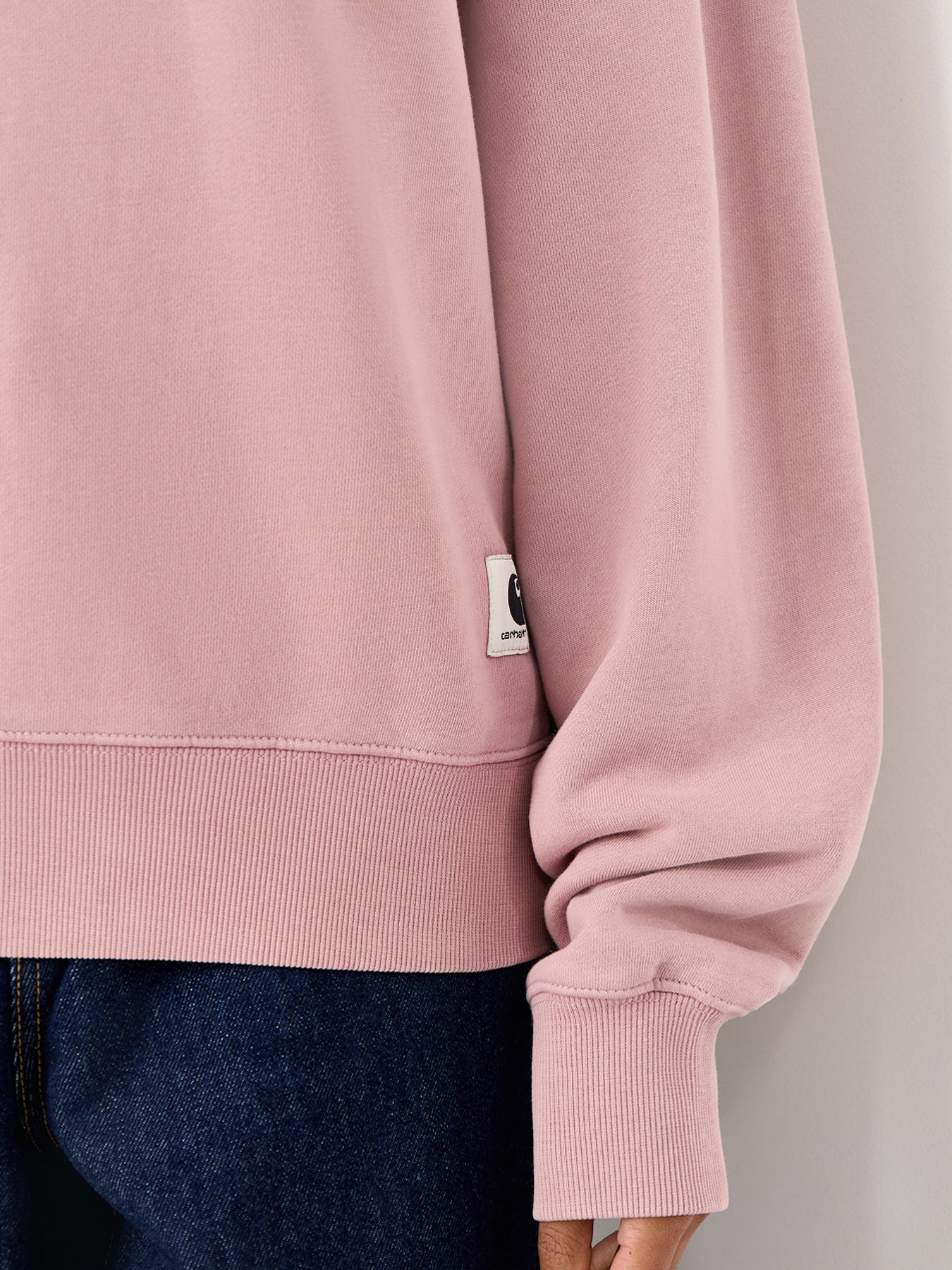 Hudson Long Sleeves Sweatshirt Pink