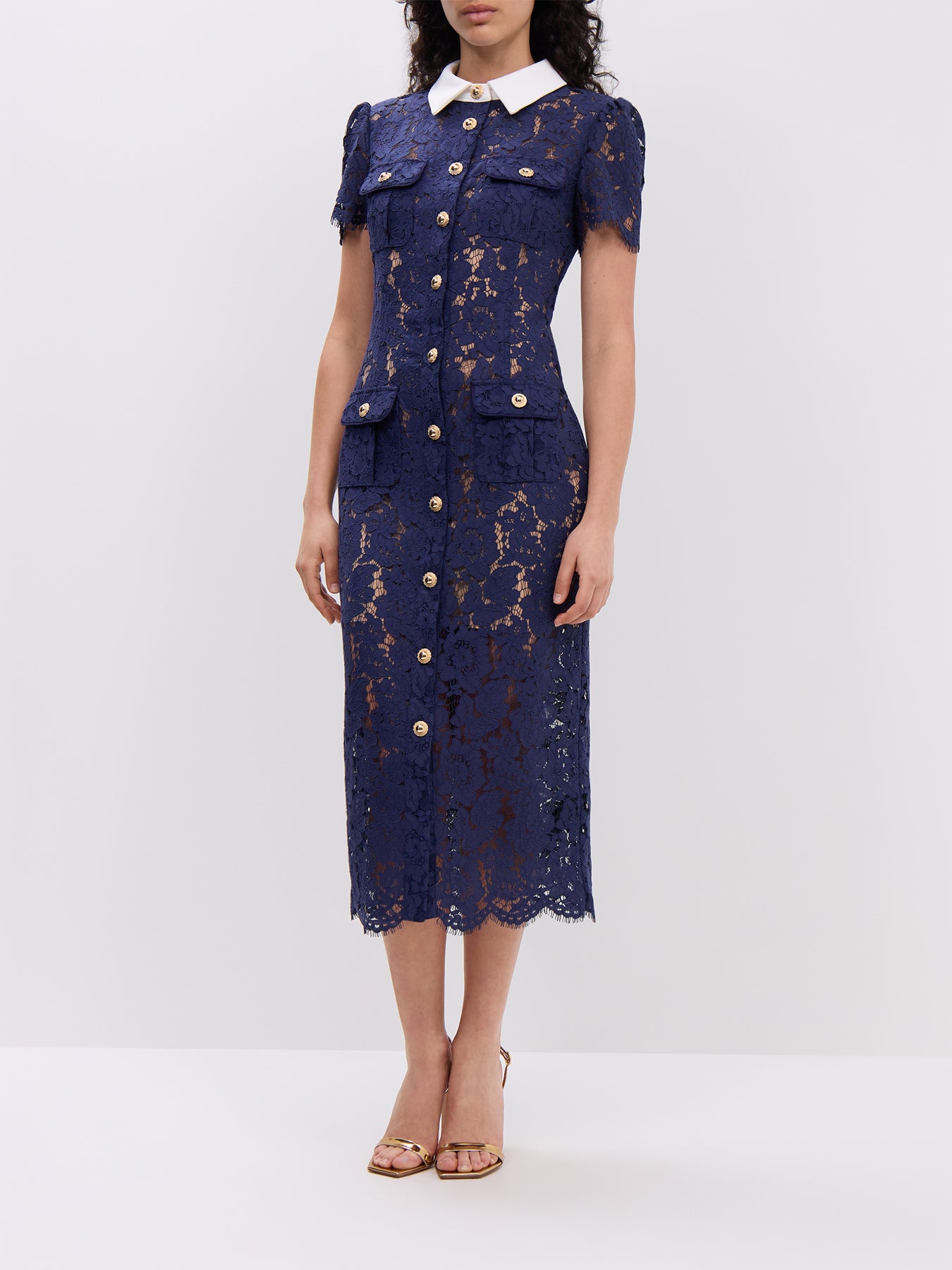 Navy Lace Contrast Collar Midi Dress