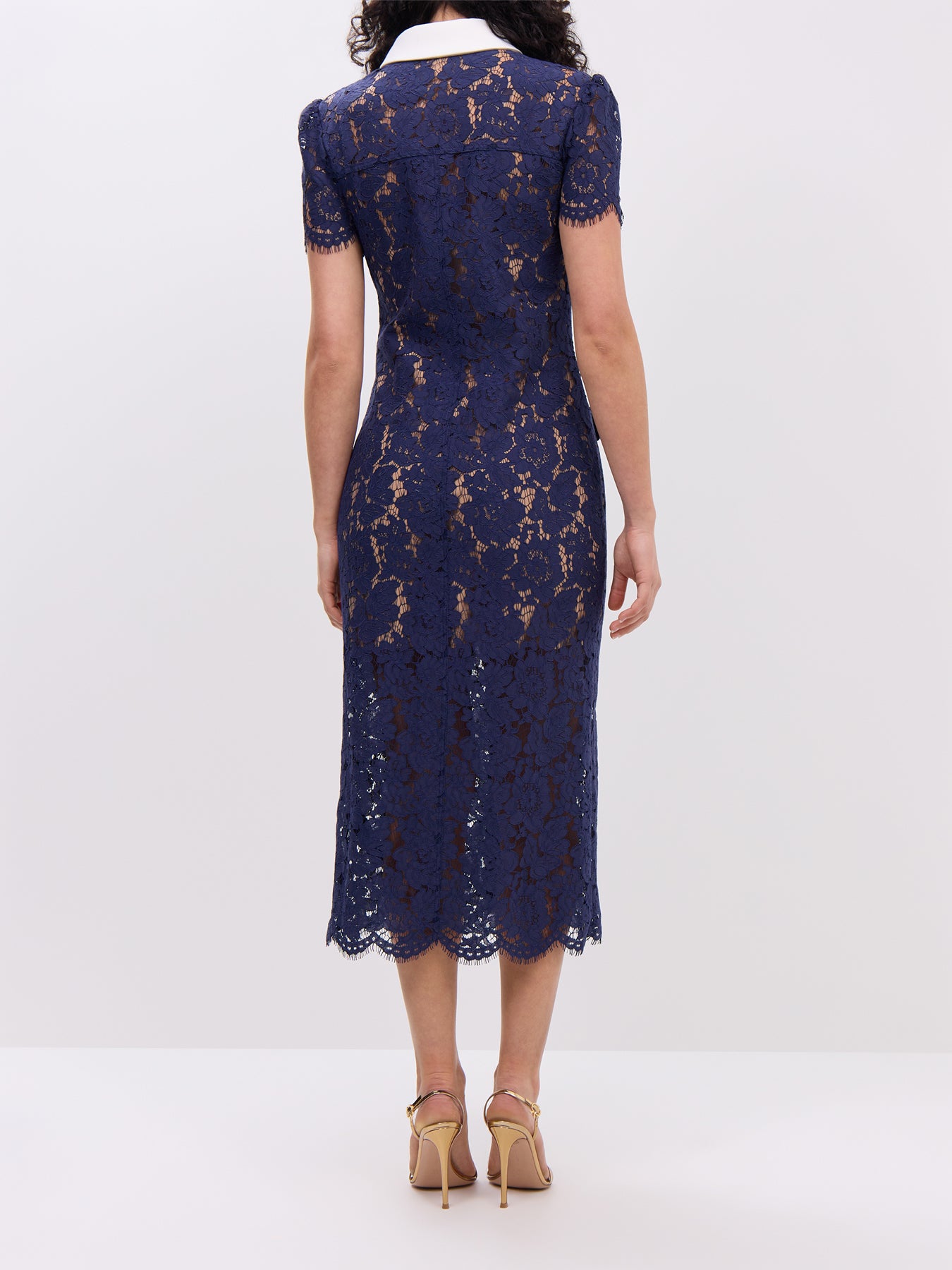 Navy Lace Contrast Collar Midi Dress