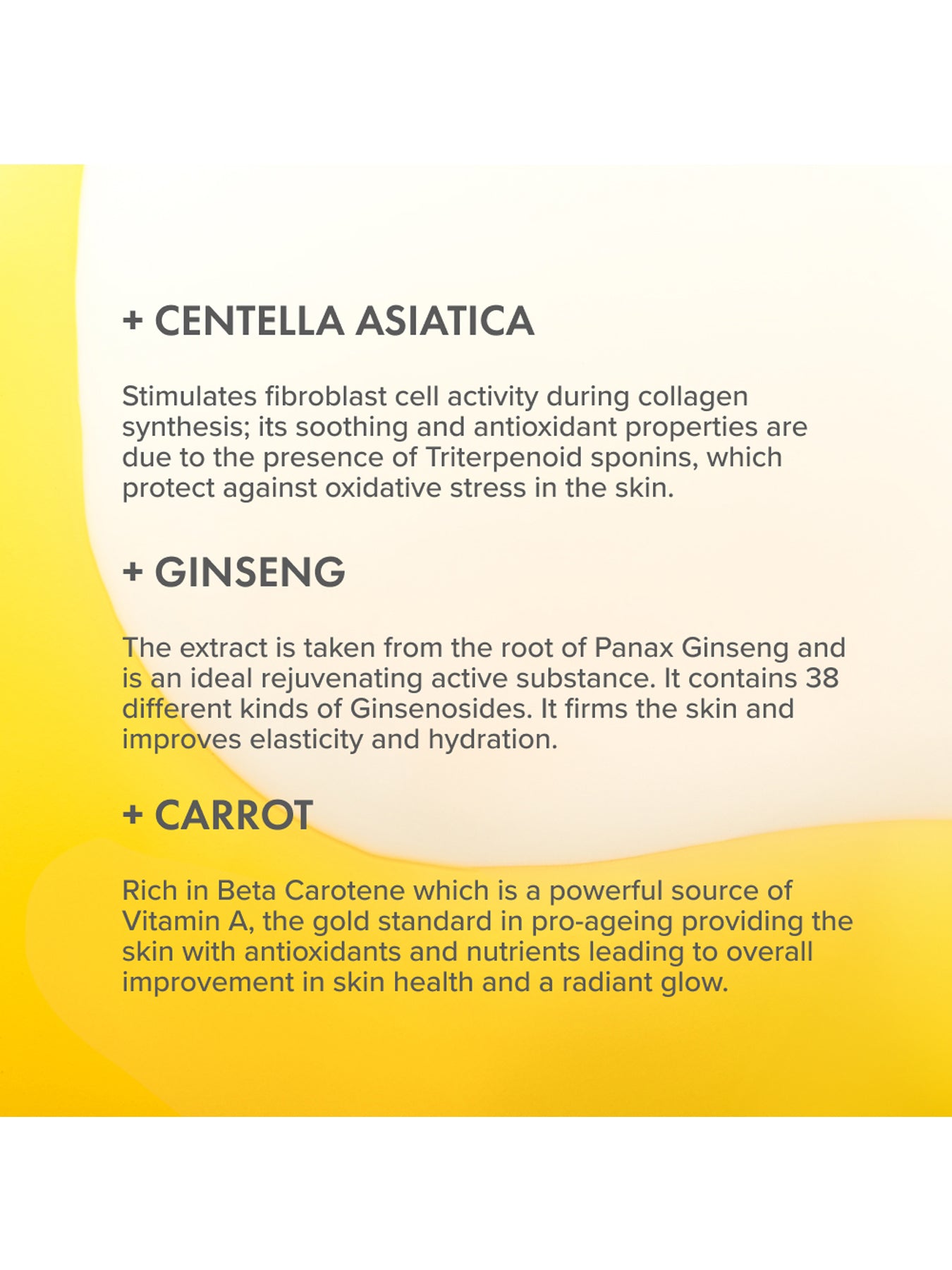 Antioxidant Face Duo