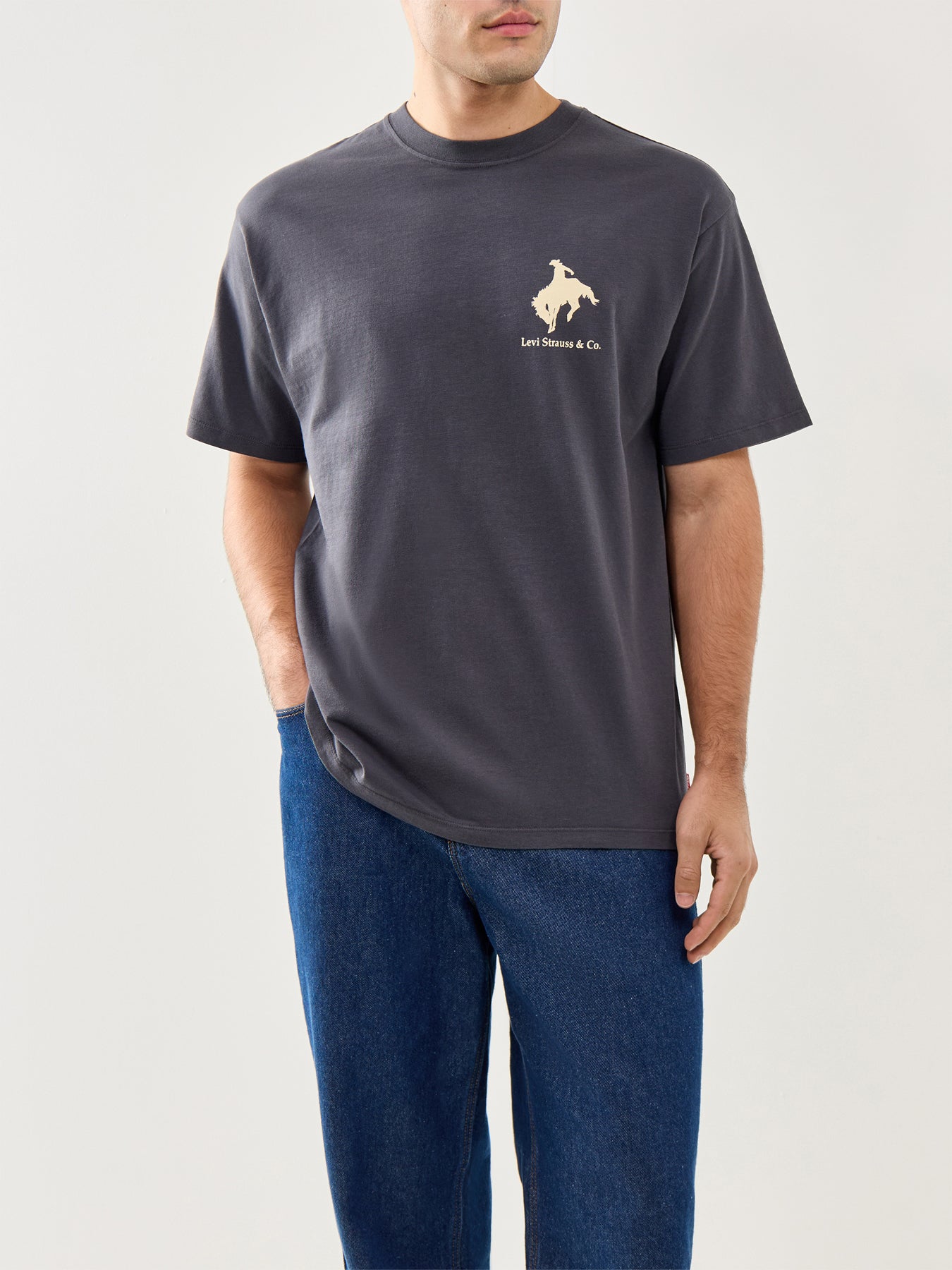 Vintage Fit Graphic T-Shirt Egret