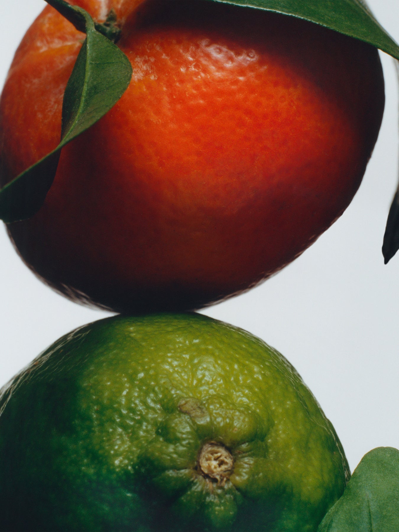 Lime Basil & Mandarin Body Creme 50ml